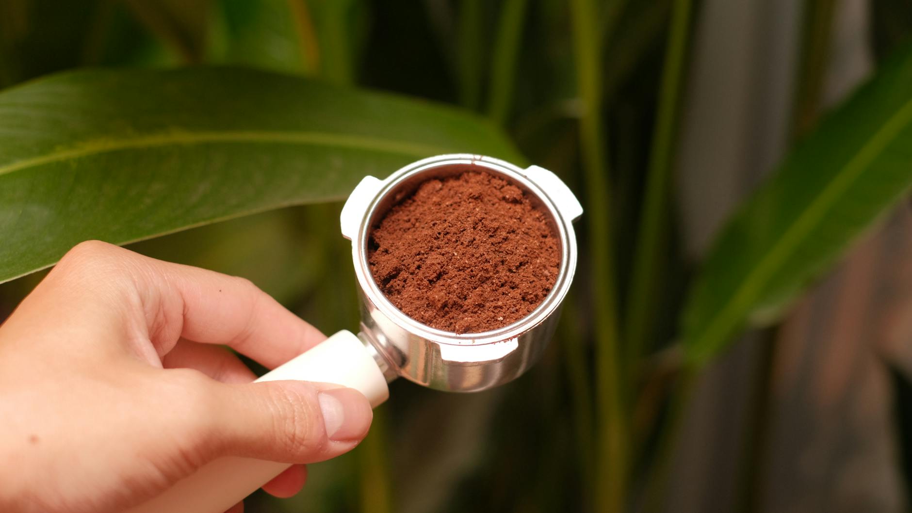 Cioccolata calda densa, base del bicerin torinese
