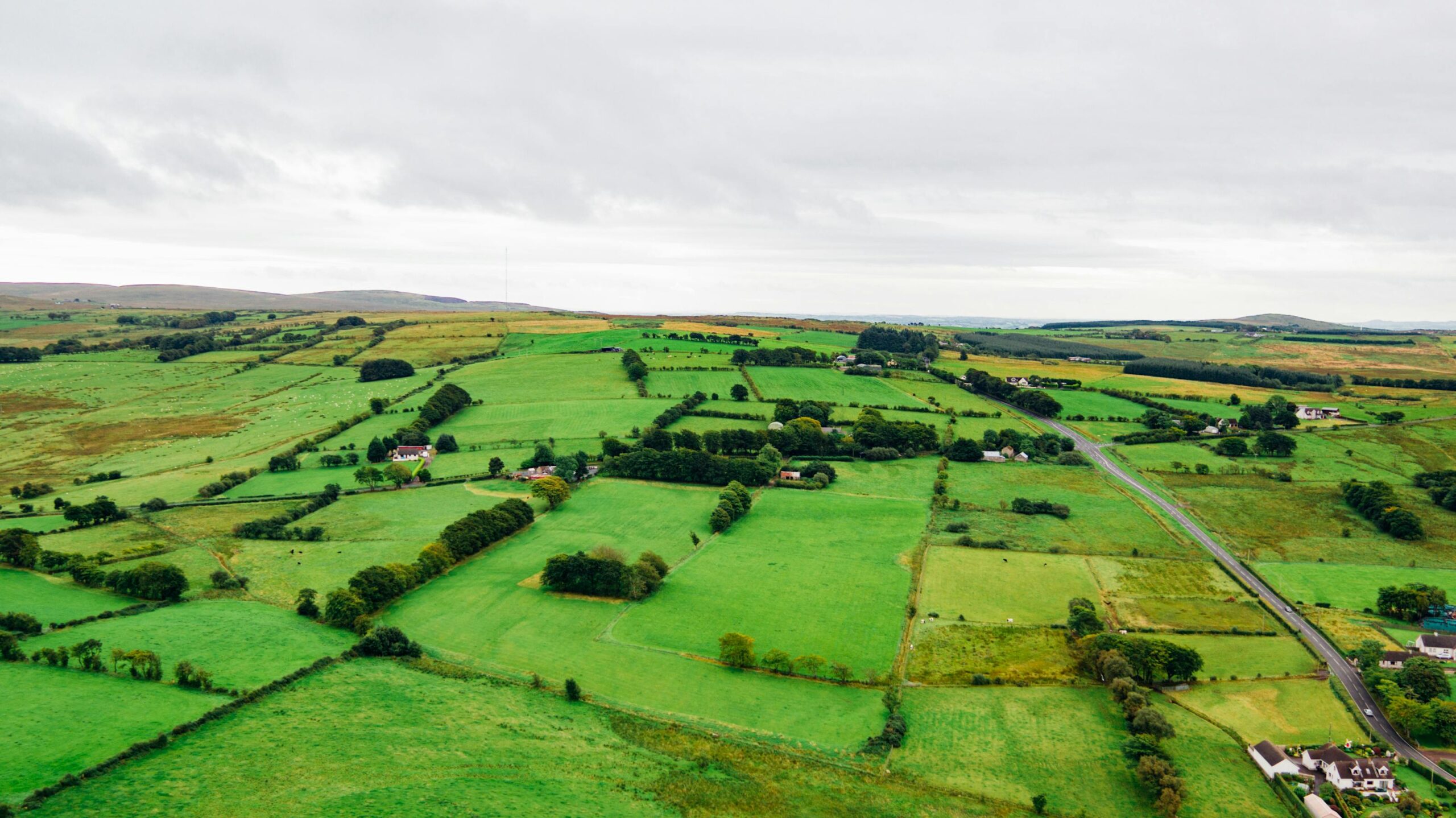 Paesaggio rurale irlandese con prati verdi e muretti di pietra