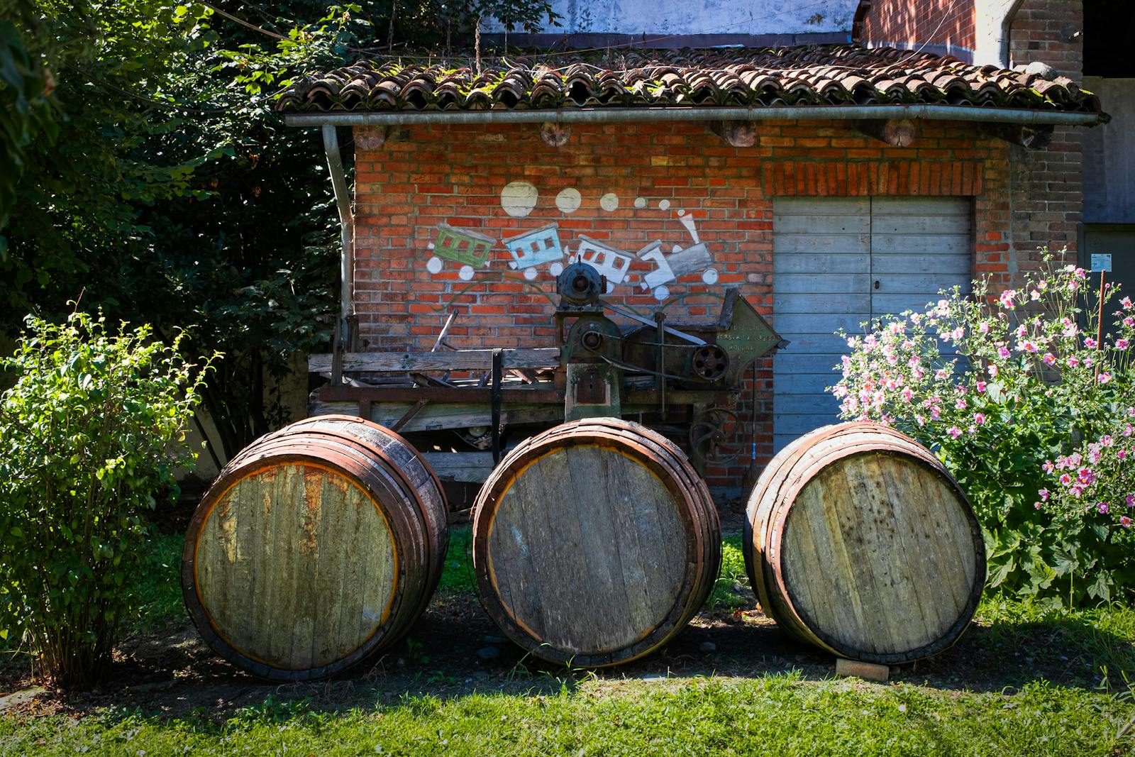 Botti di legno tipiche delle cantine toscane dove invecchia il vin santo