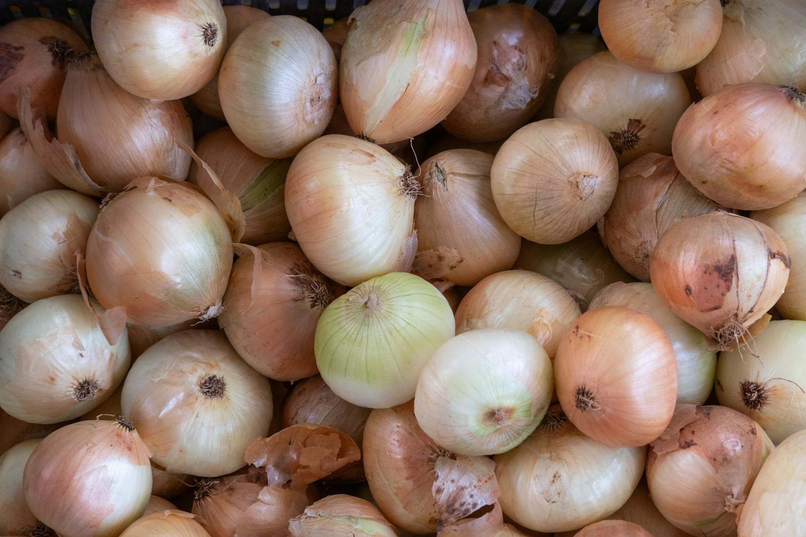 Cipolle dorate fresche di varieta diverse esposte al mercato