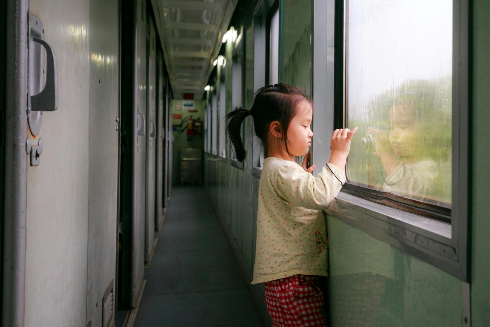 Sguardo da finestra di treno verso il paesaggio