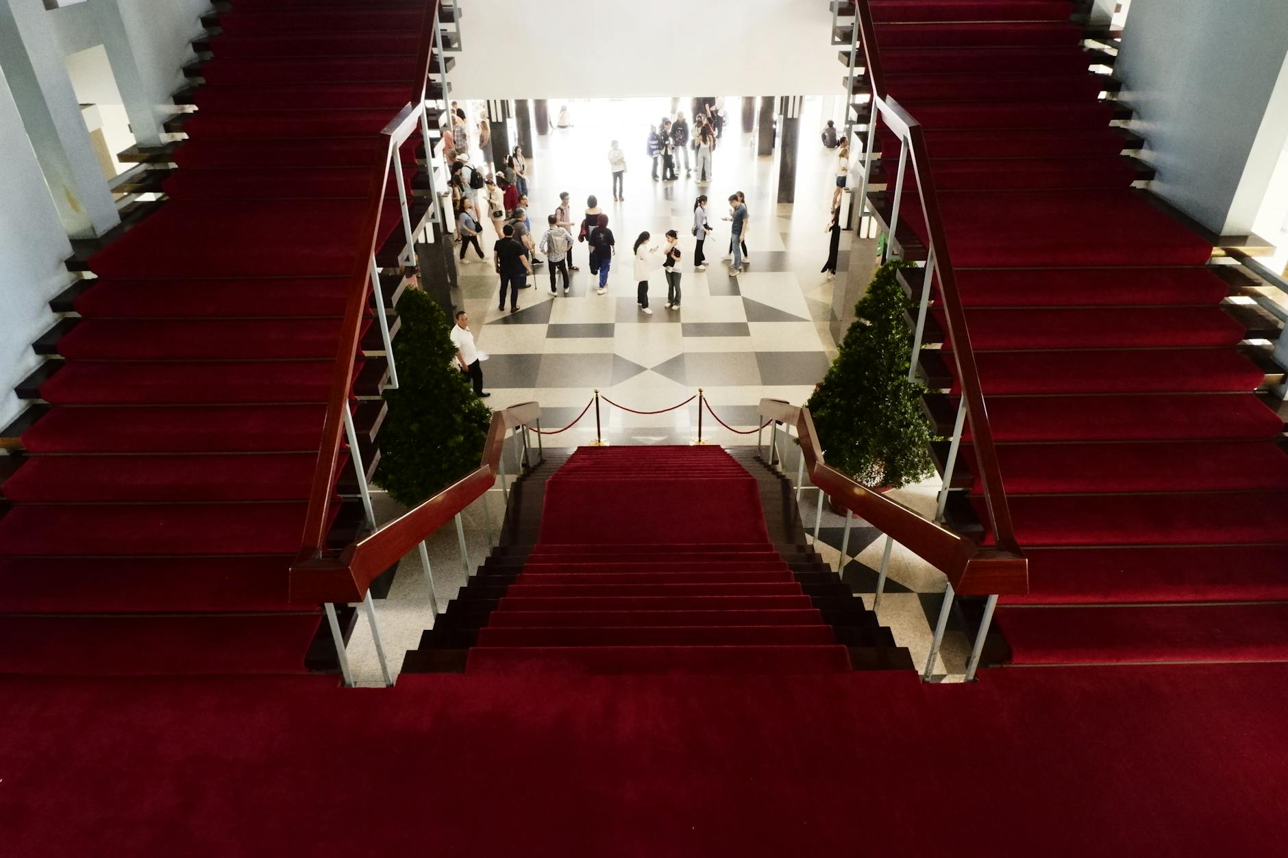 Tappeto rosso del Festival di Cannes 2026