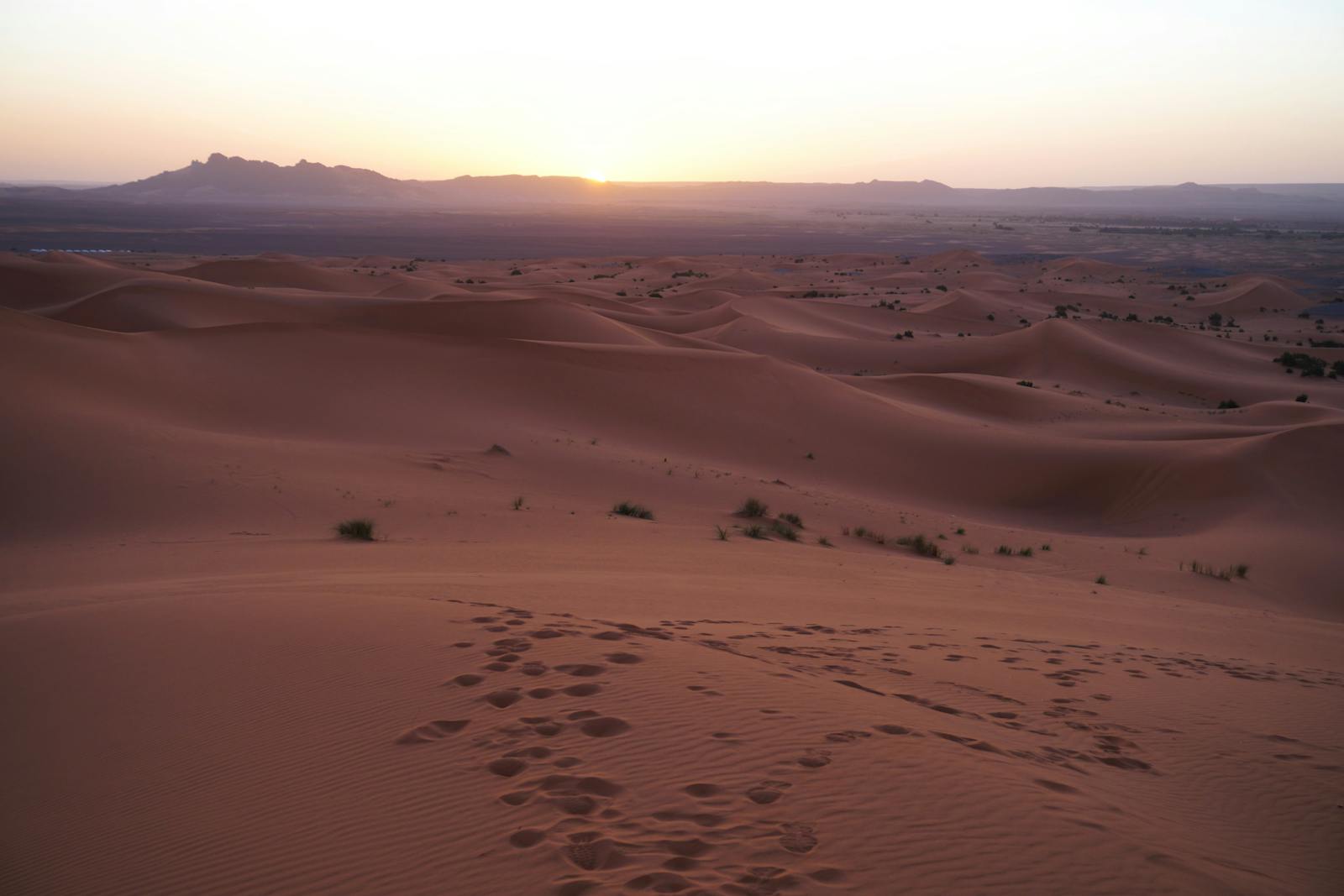 Alba sulle dune del Sahara con tracce sulla sabbia