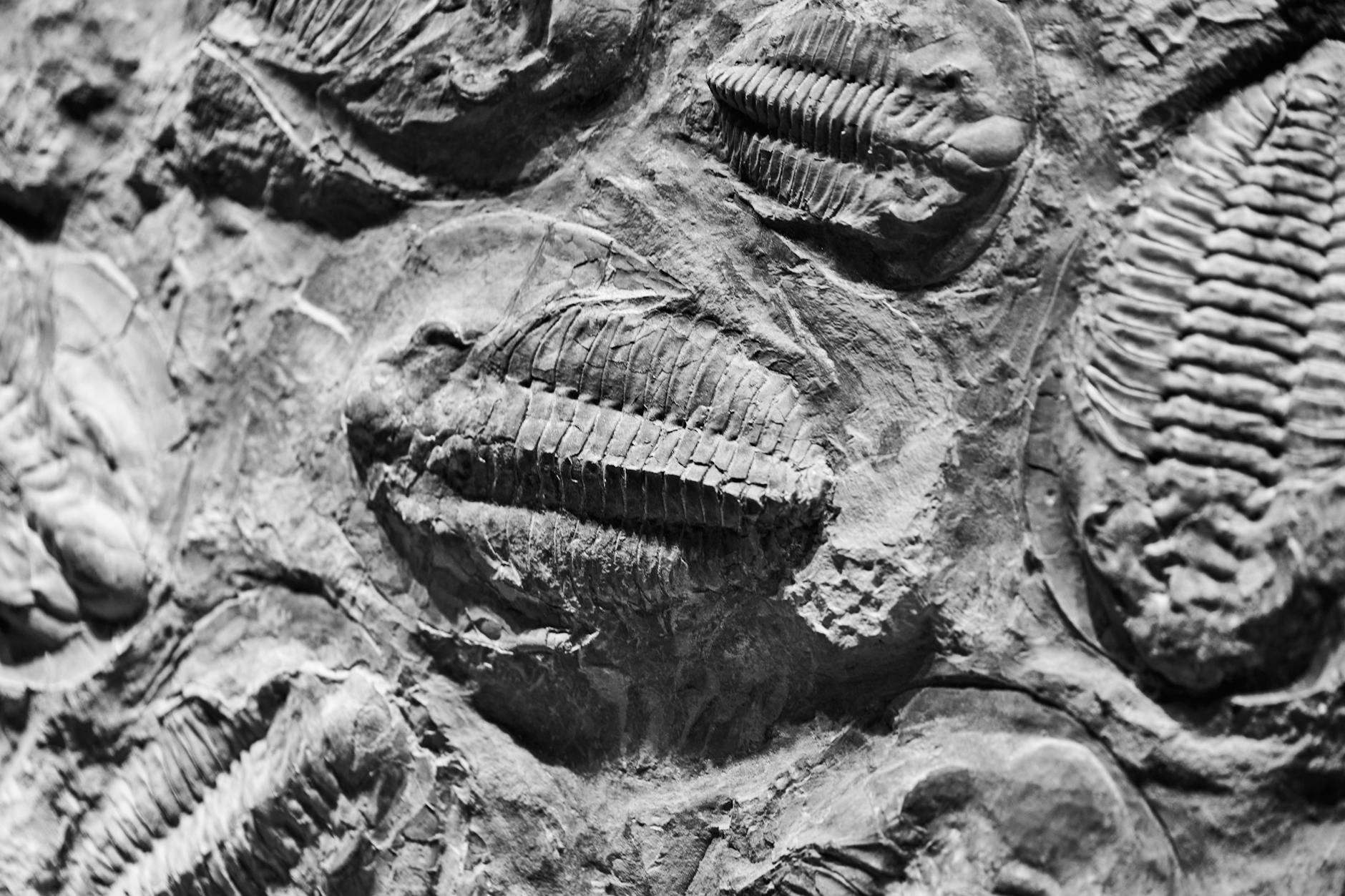 Strati di roccia sedimentaria di una parete montuosa
