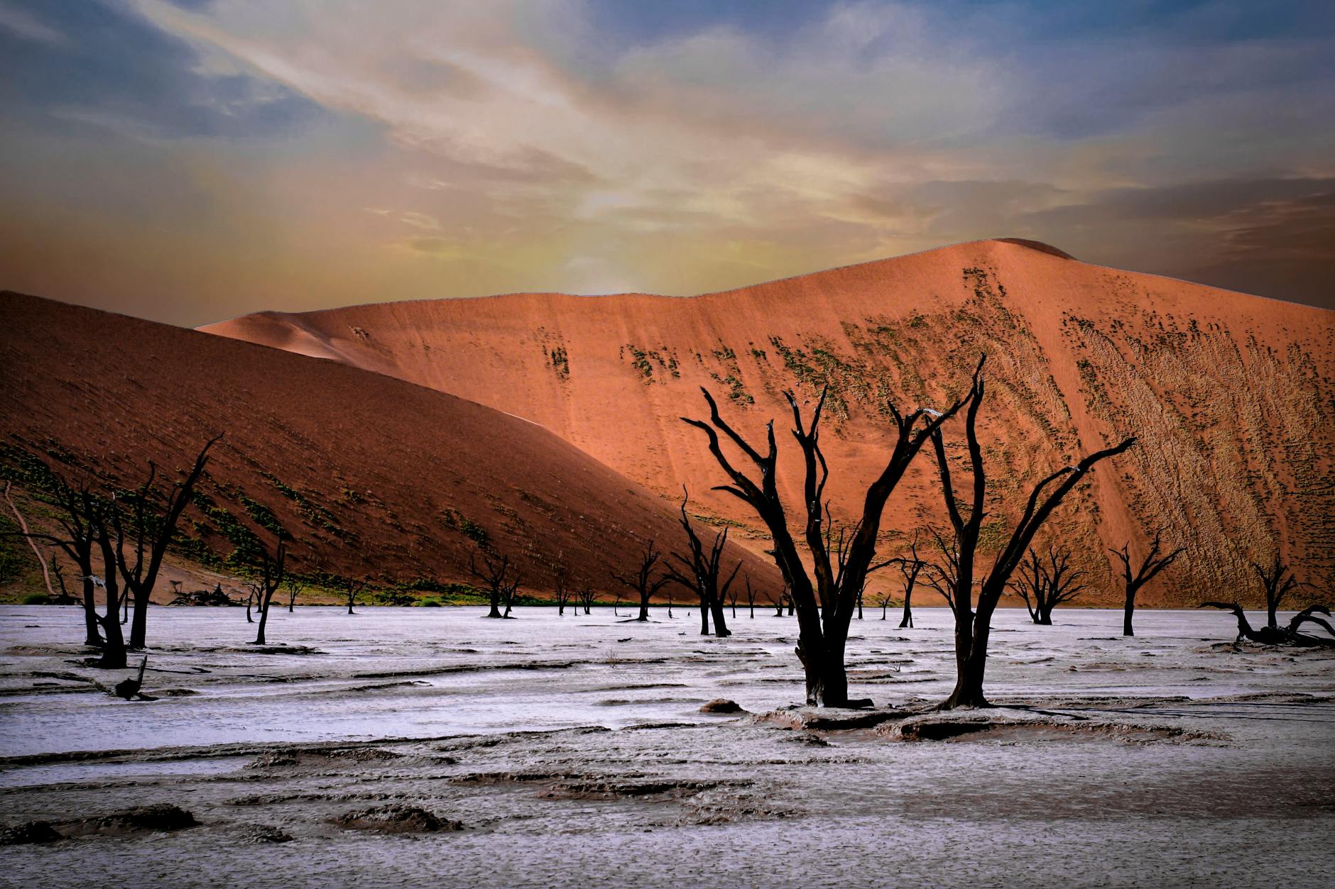 Paesaggio della savana africana al tramonto