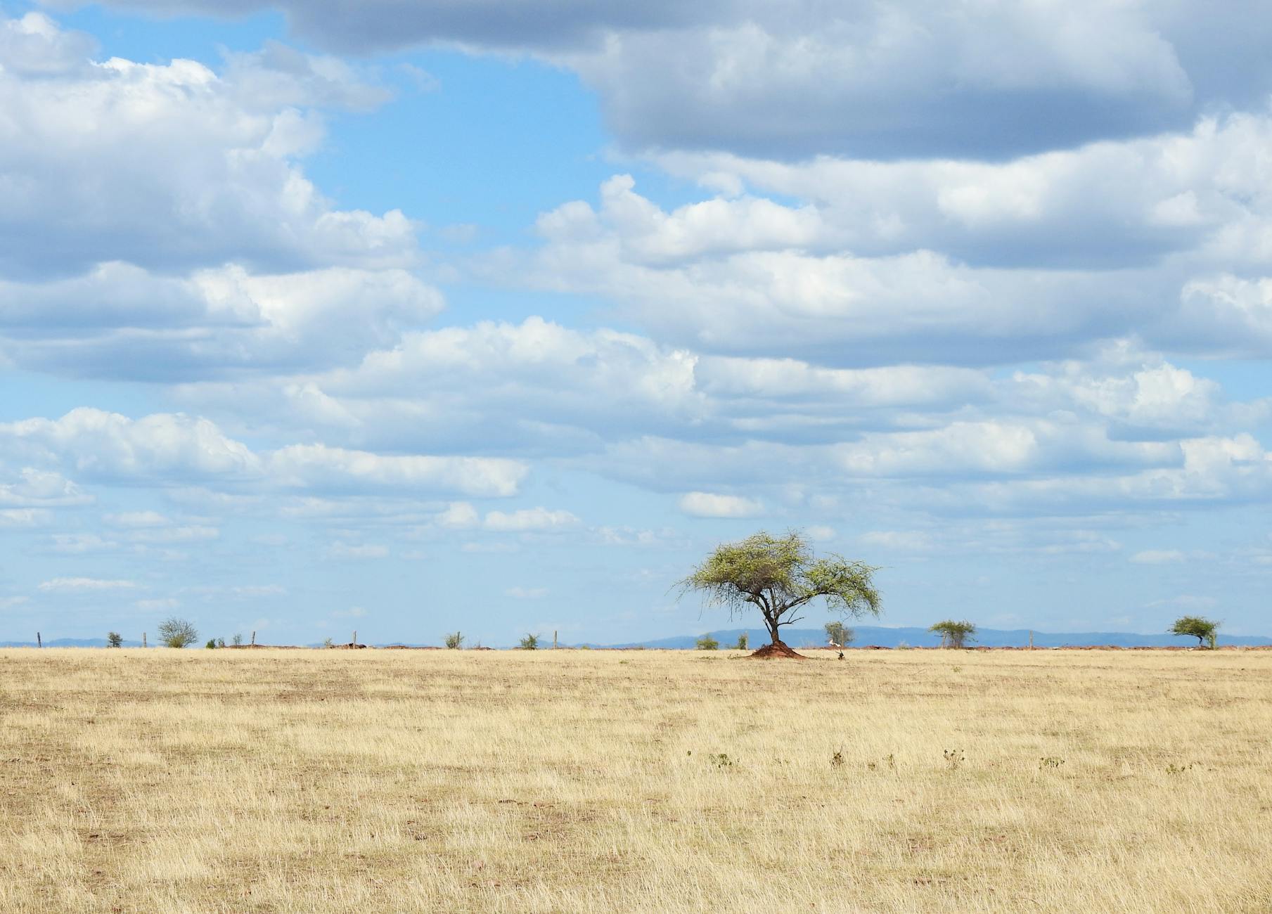 Comunità di un villaggio africano