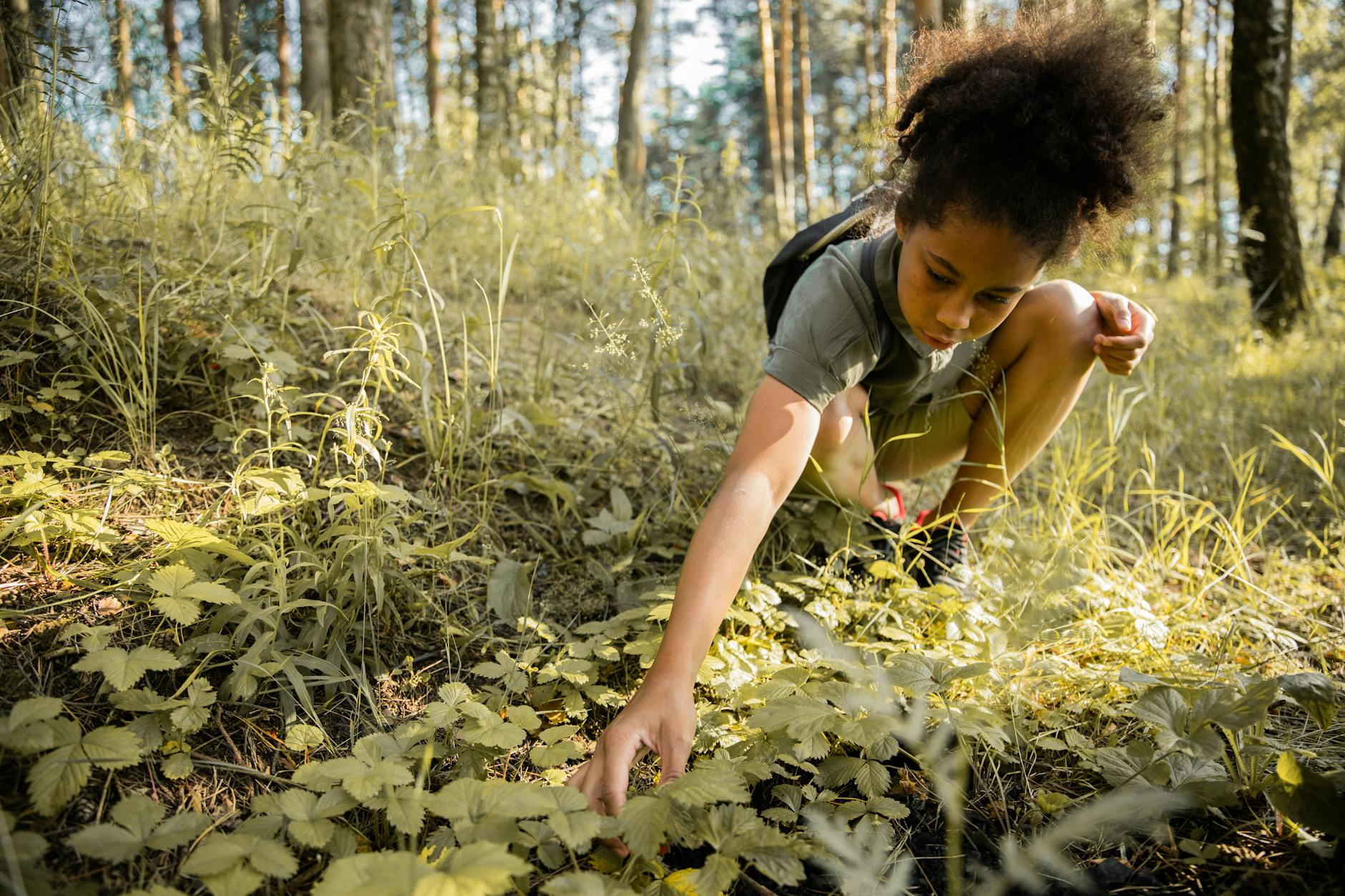 Mani di bambino che disegnano la natura con i pastelli