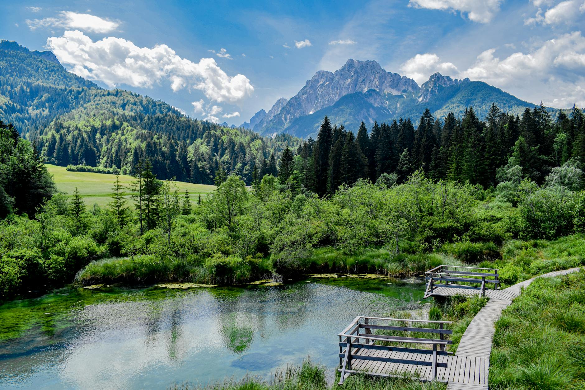 Paesaggio montano di un'area protetta