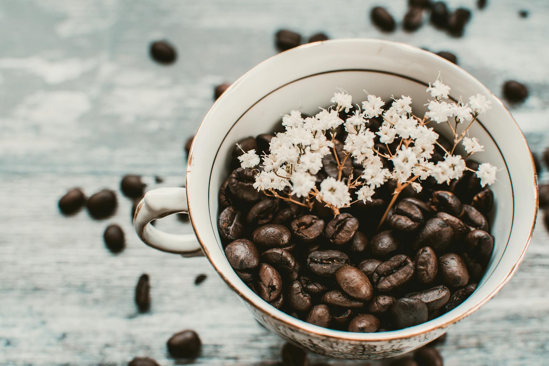 Chicchi di caffè verdi pronti per la tostatura
