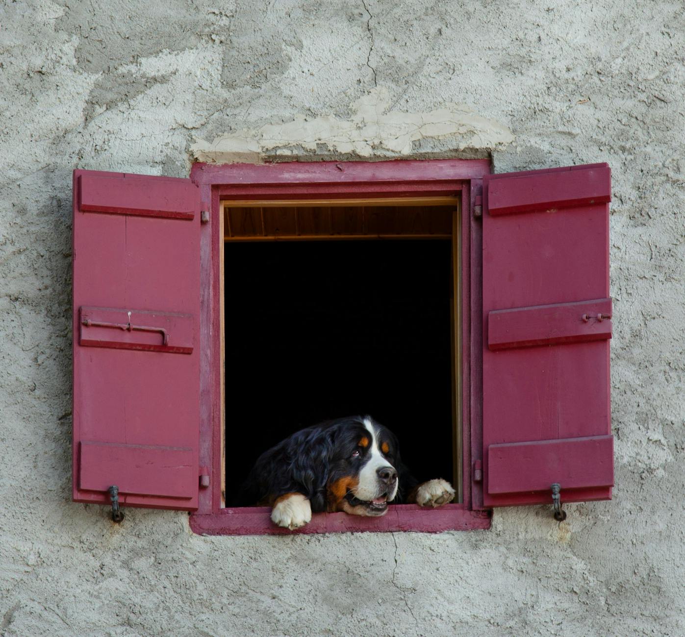 Bambini che giocano insieme attorno a un tavolo con un gioco da tavolo