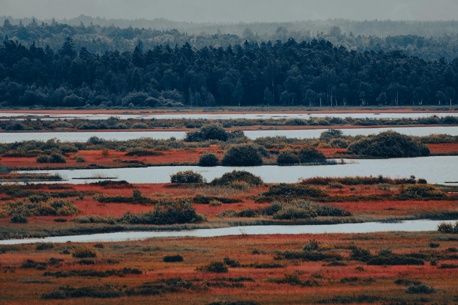 Natura 2000 e la tutela della biodiversità europea