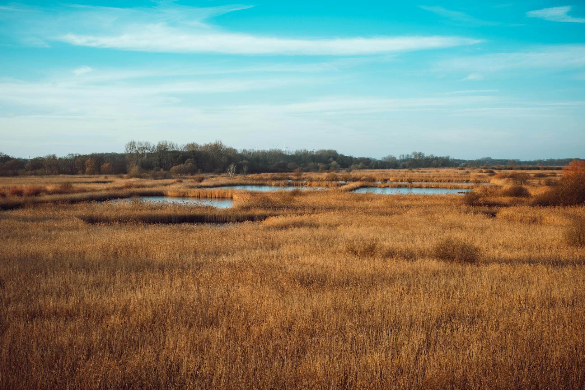 Natura 2000 e la tutela della biodiversità europea