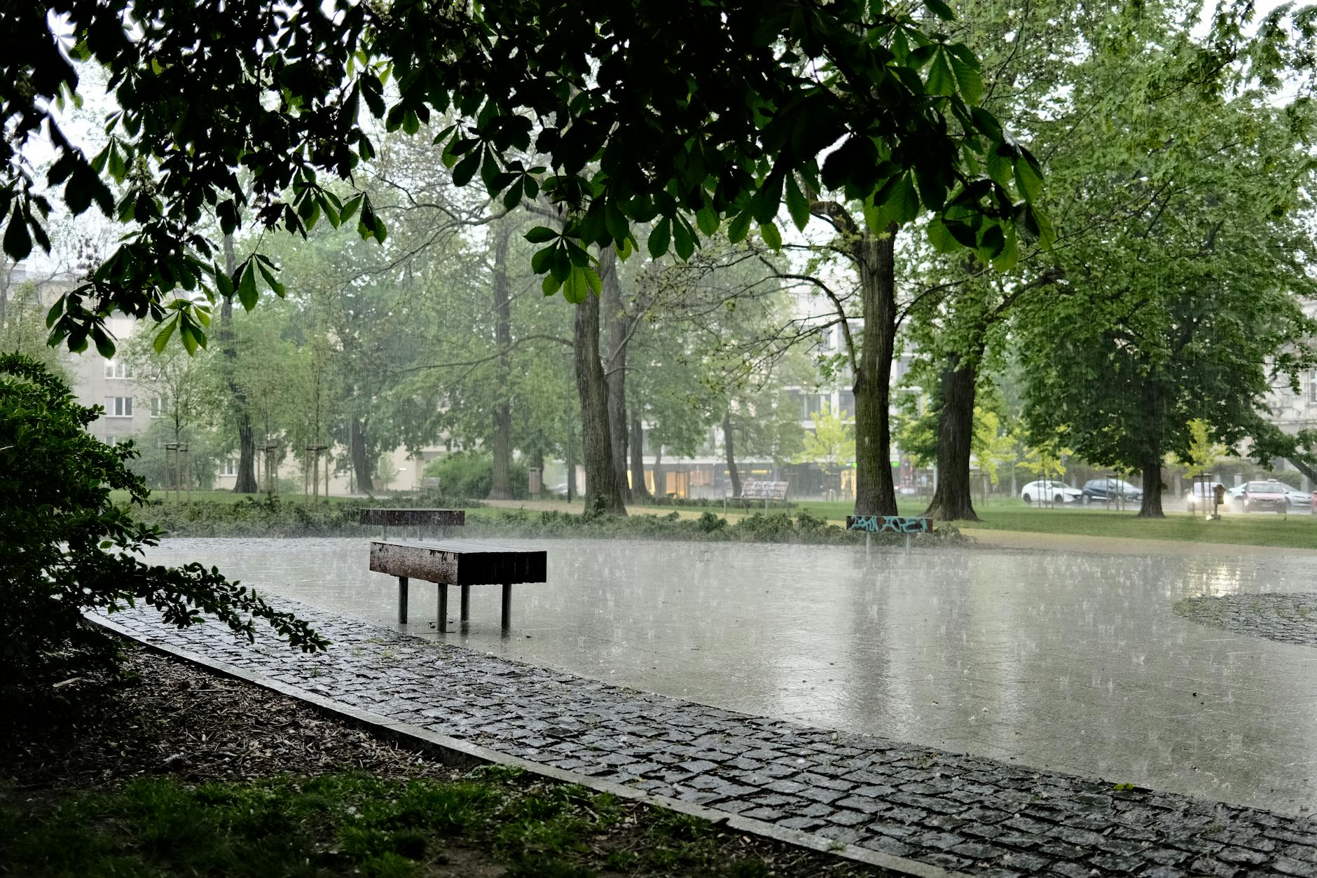 Pioggia su un parco urbano e fogliame nelle vie della città