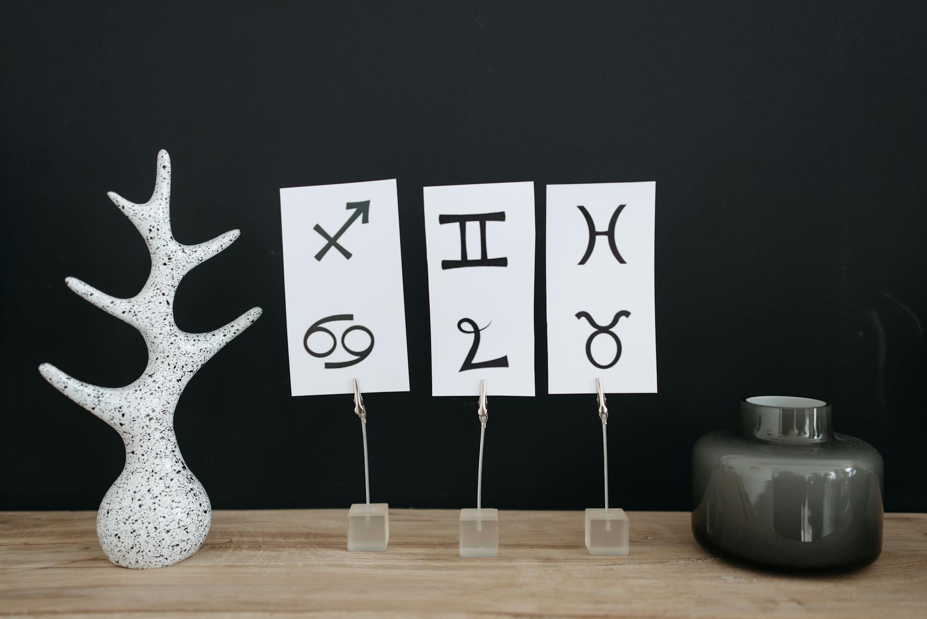 Segni zodiacali e cielo stellato