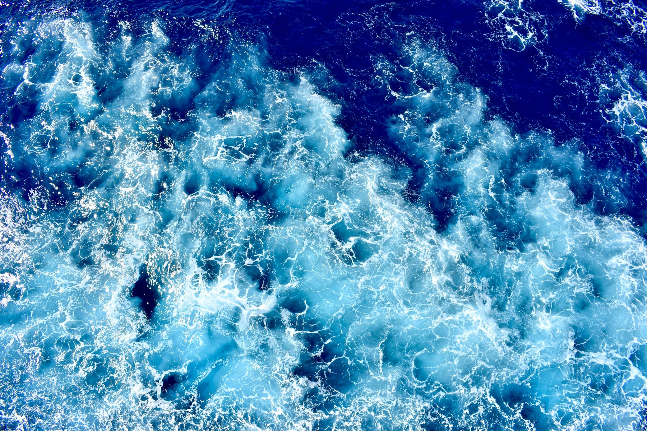 Polpo che nuota in acqua azzurra