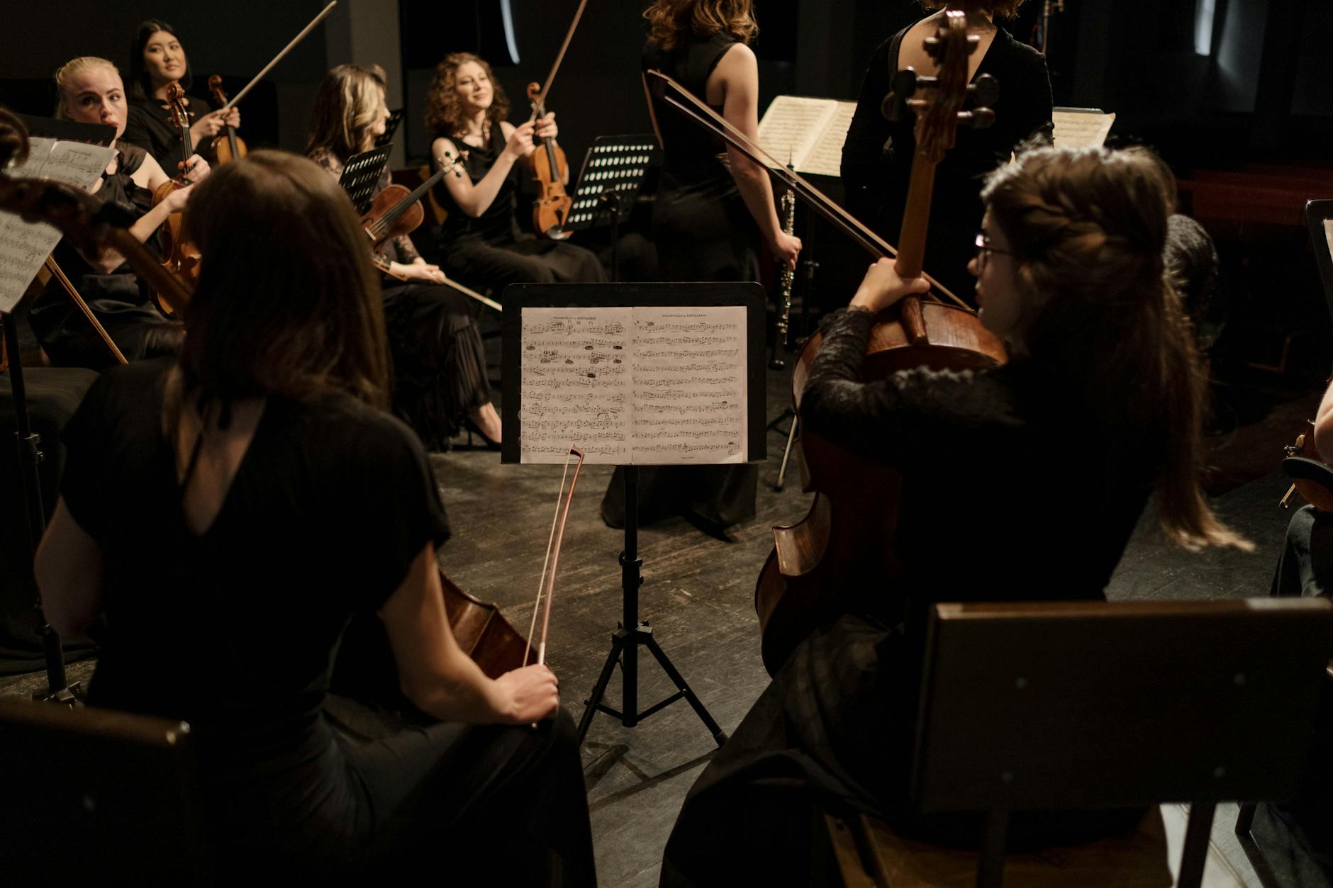 Pubblico in una sala da concerto durante uno spettacolo