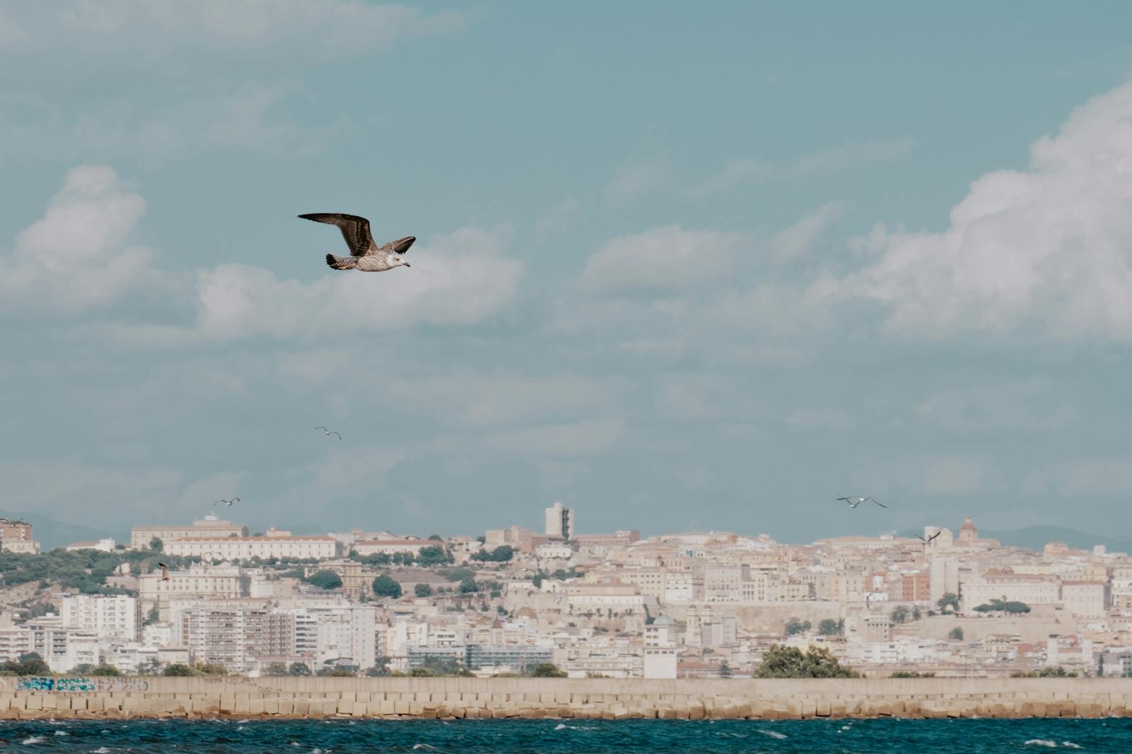 Vista costiera di Cagliari con cityscape storico della Sardegna