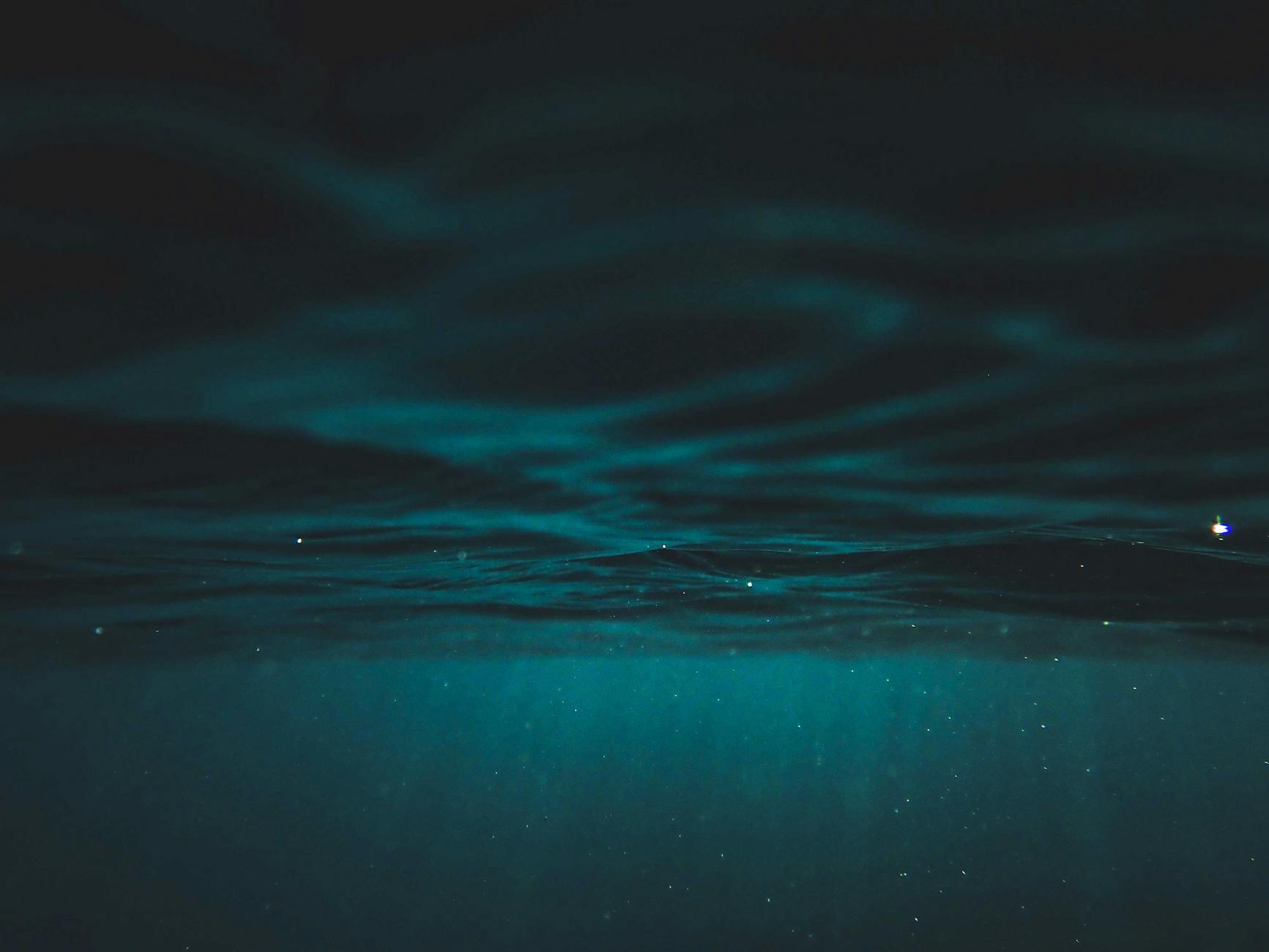 Mondo abissale fondale marino profondo