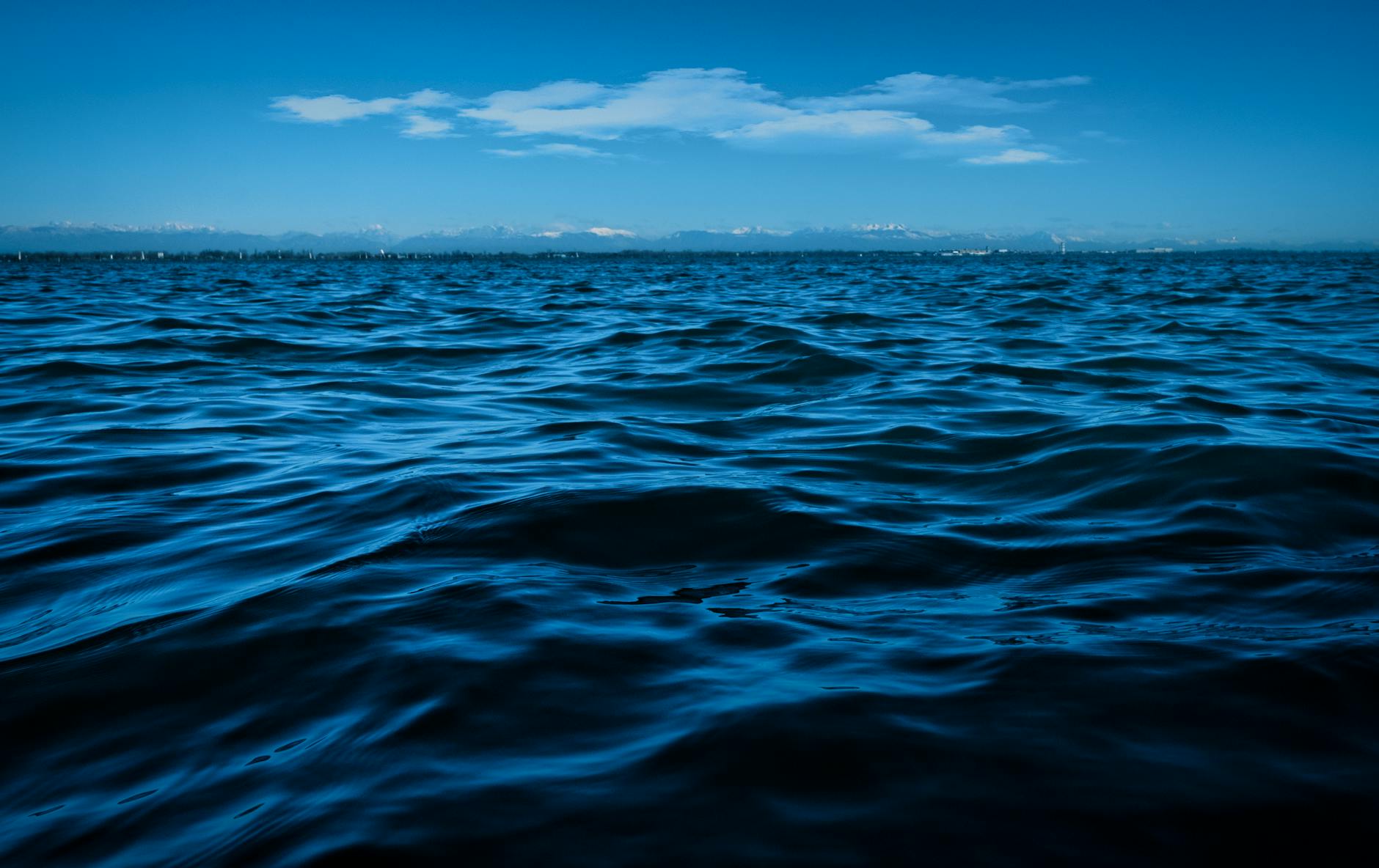 Oceano profondo blu, habitat del calamaro gigante
