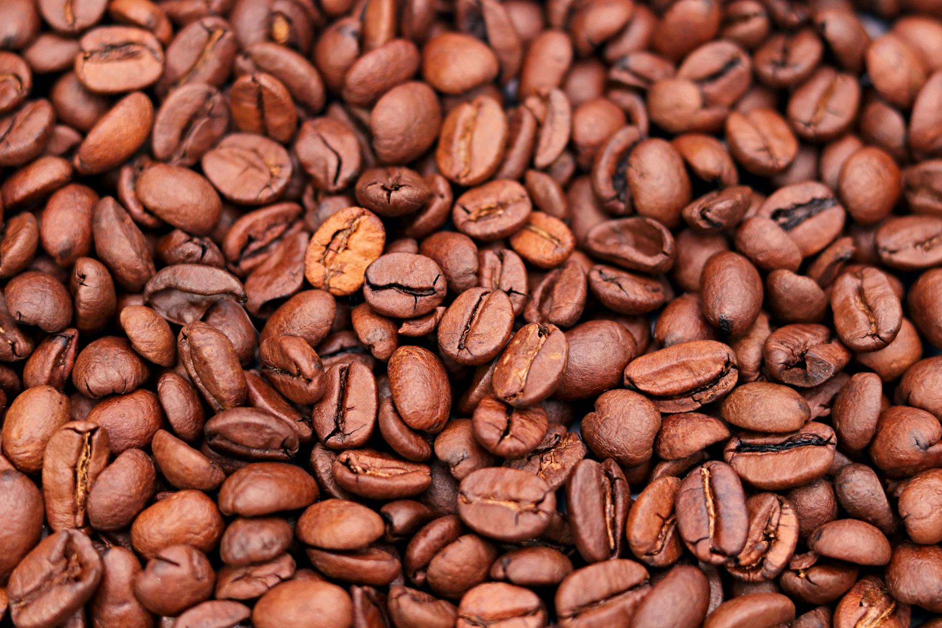Tazza di caffè e dessert sul tavolo dopo un pasto in famiglia