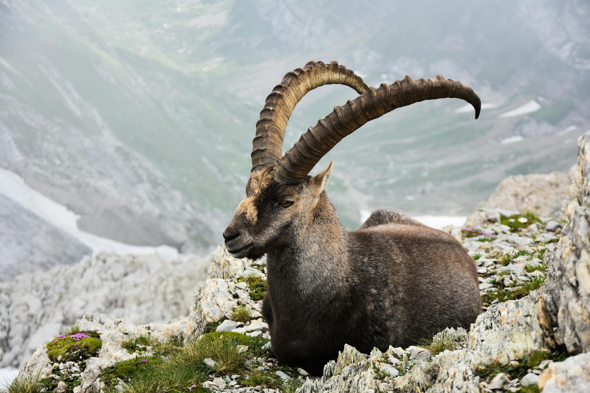 Paesaggio alpino d'alta quota