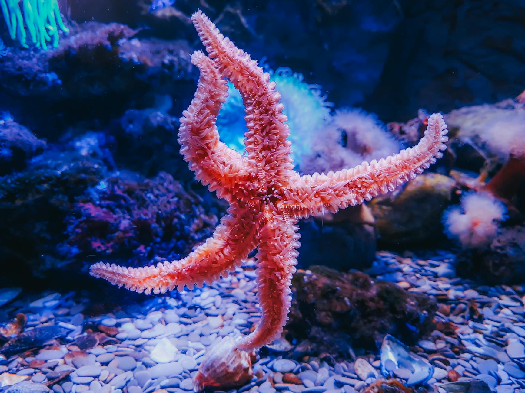 Acqua azzurra di un ambiente marino