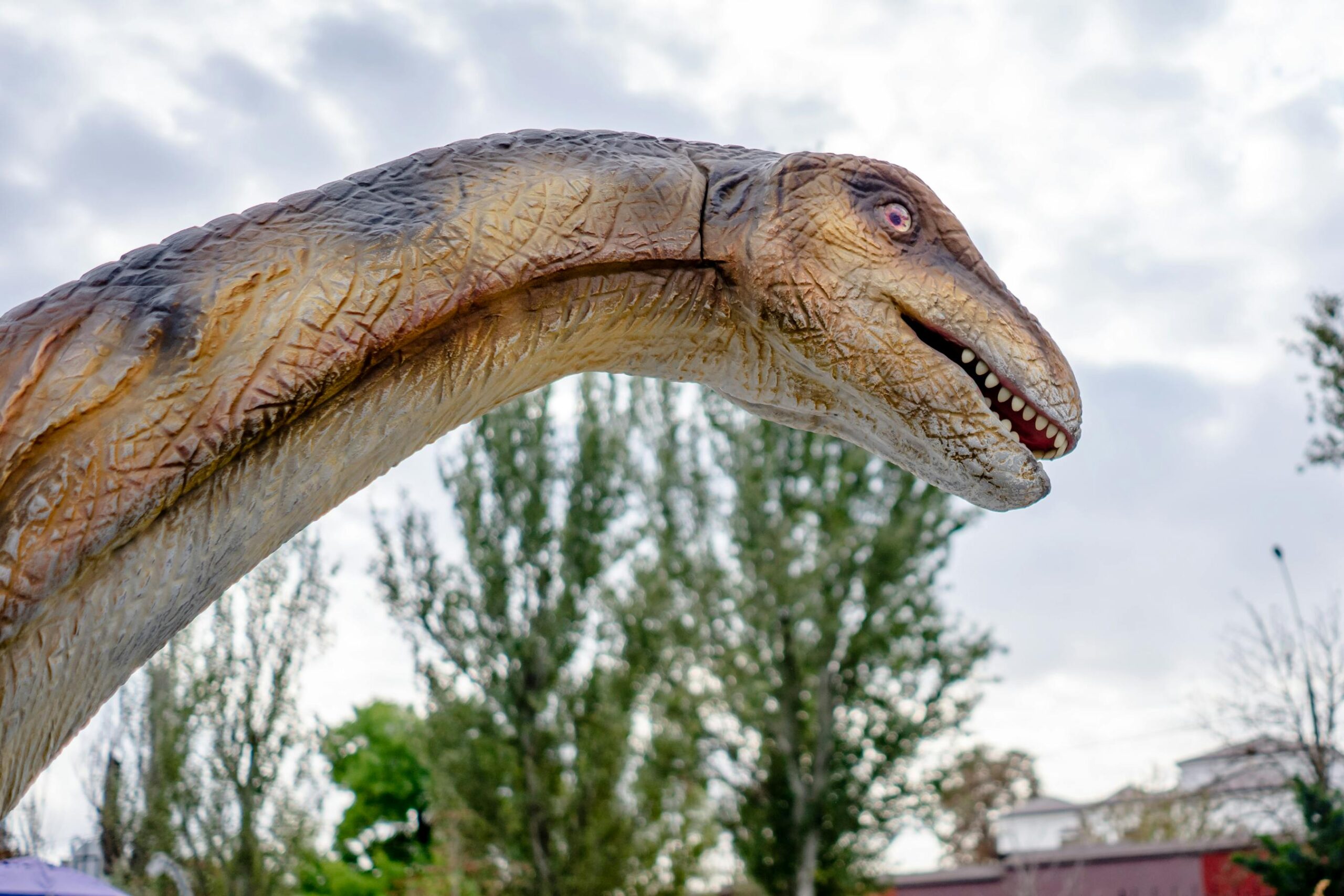 Esposizione di dinosauri in un museo naturalistico