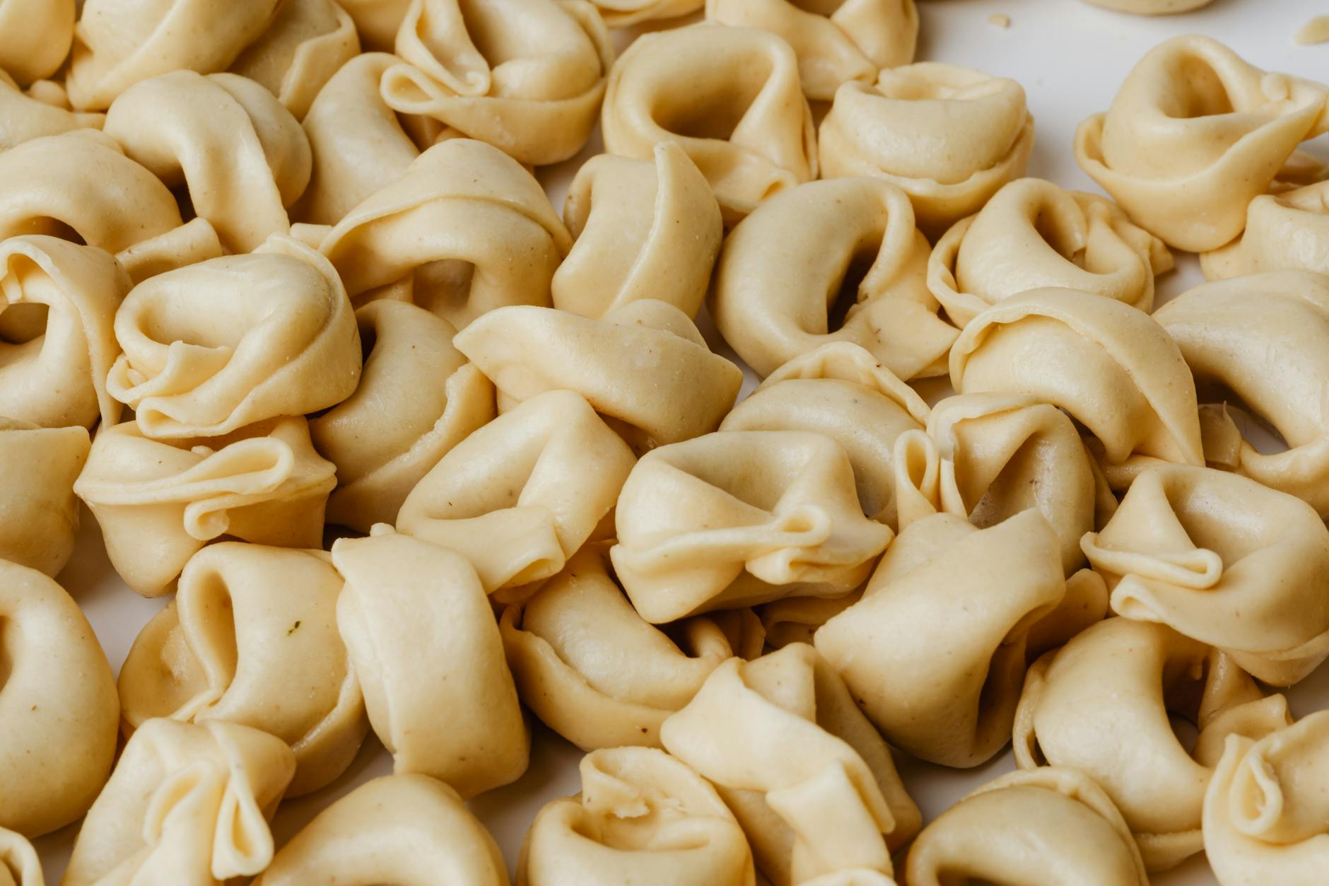 Tortellini ripieni in fila durante la lavorazione artigianale