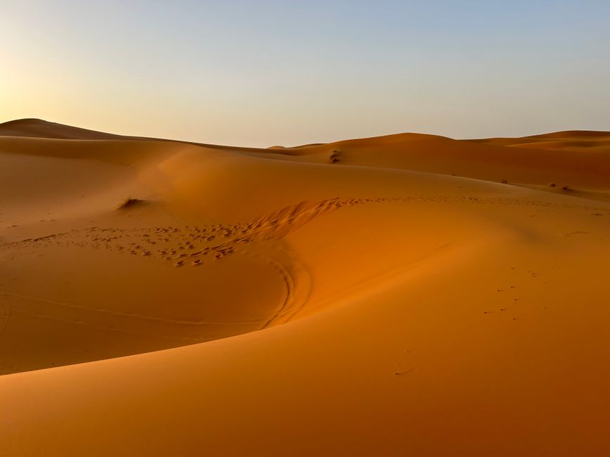 Carovana nel deserto