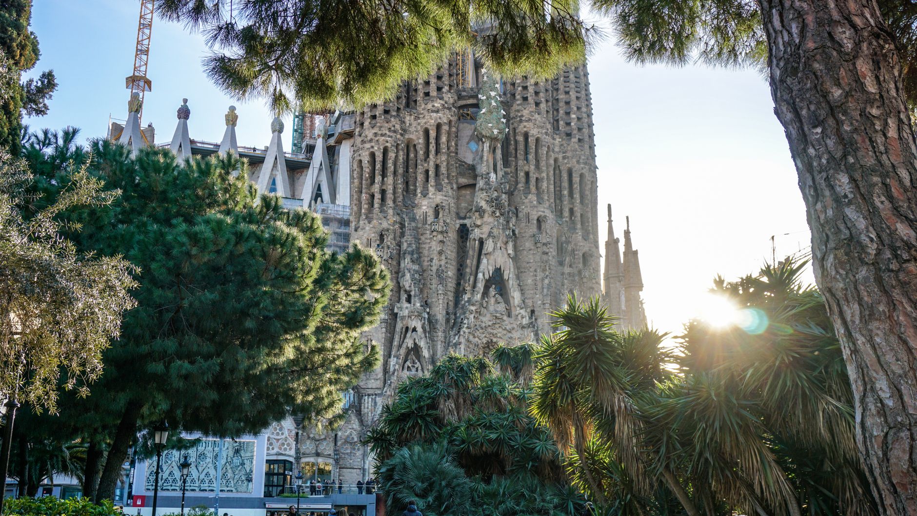 Antoni Gaudì e l'architettura di Barcellona - Le forme di Gaudì si ispirano alla natura