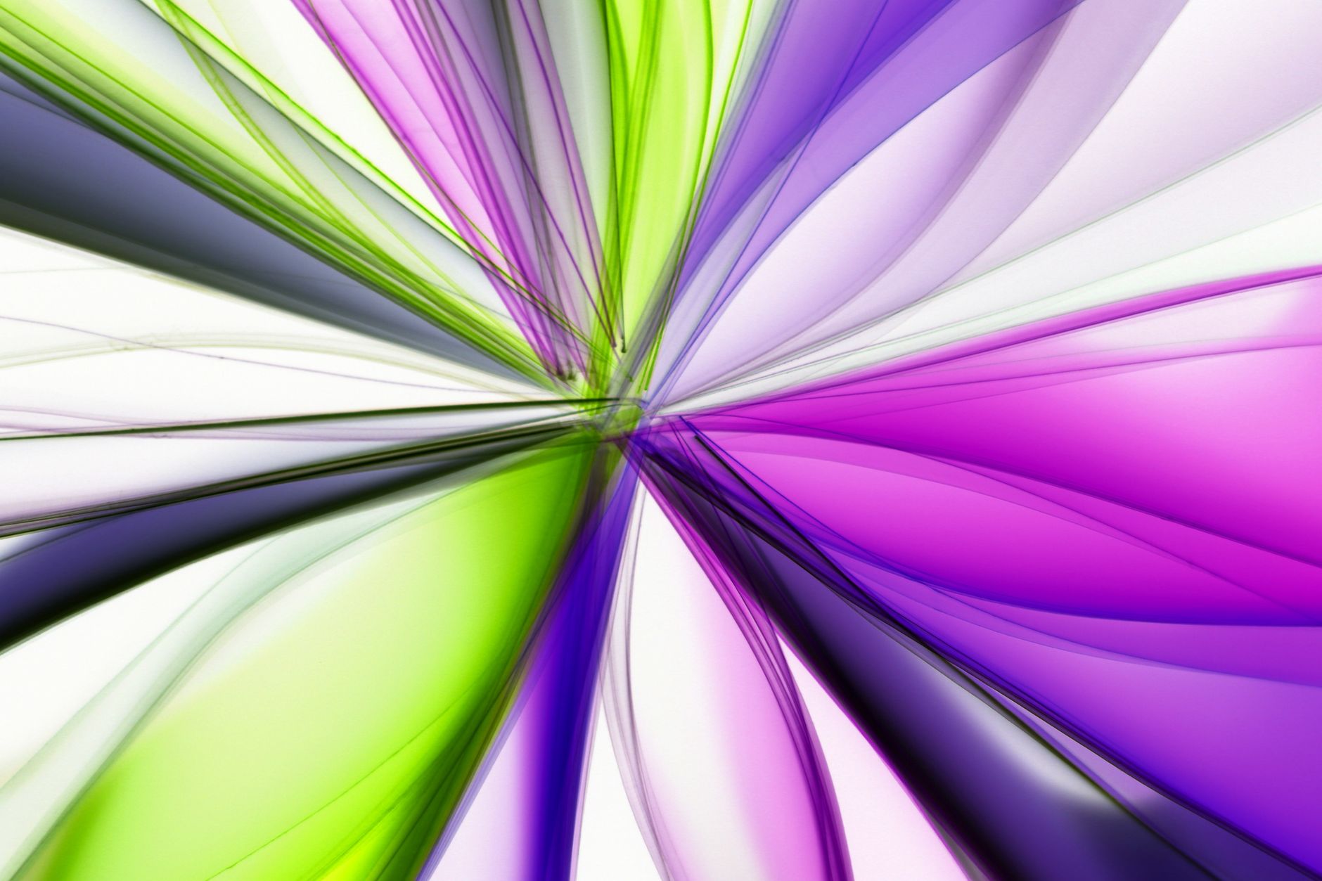 Arte e pittura contemporanea dai colori vivaci