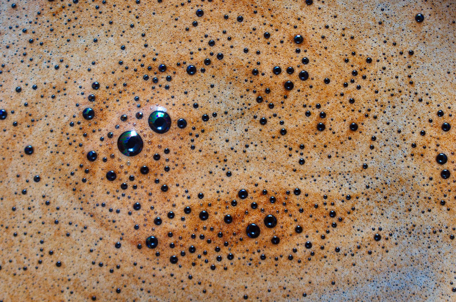 Una tazzina di caffè espresso, rito quotidiano per milioni di persone.