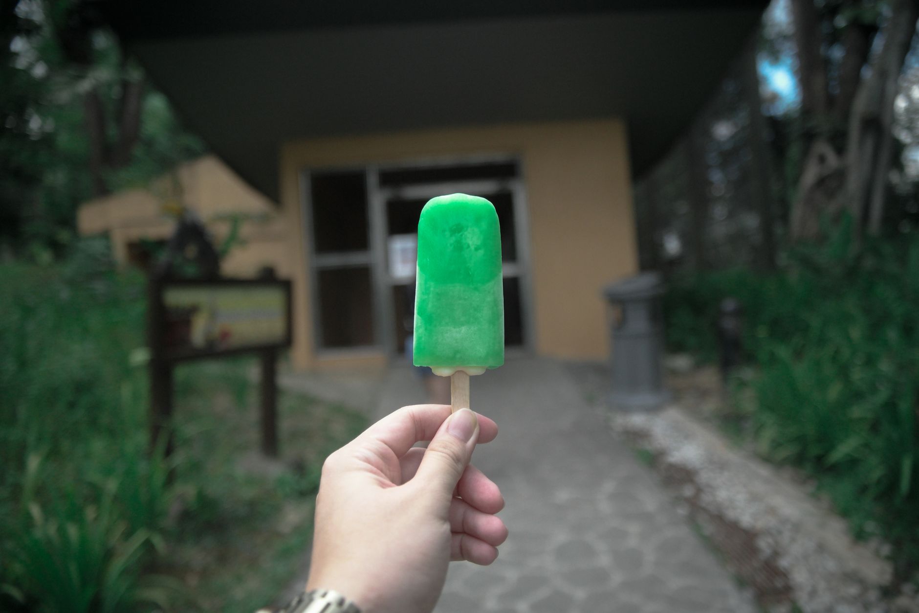 Ghiaccioli colorati alla frutta