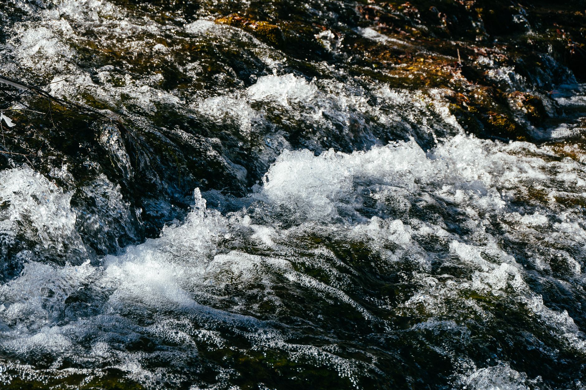 Torrente con acqua limpida tra le pietre