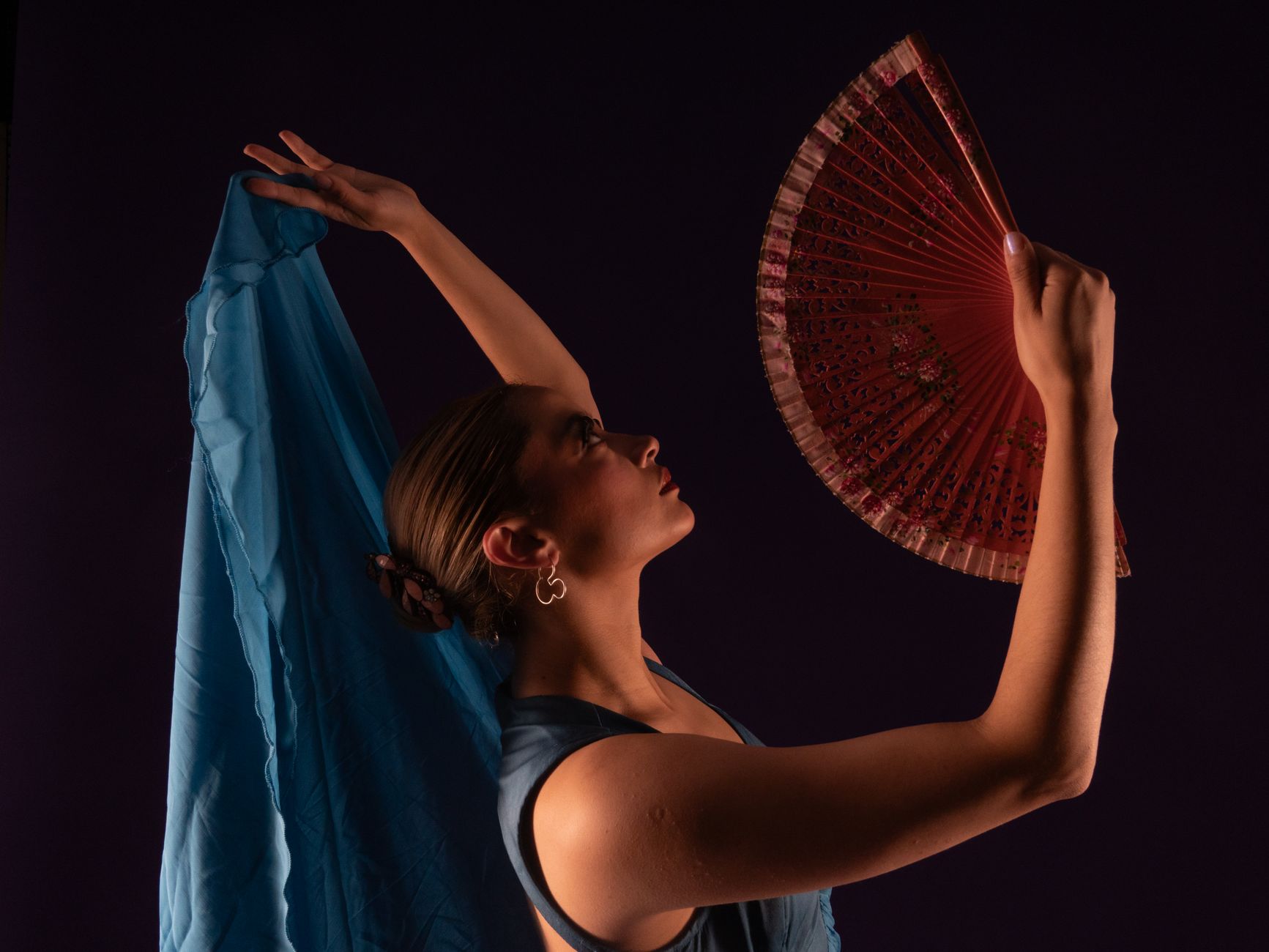 Spettacolo di flamenco appassionato