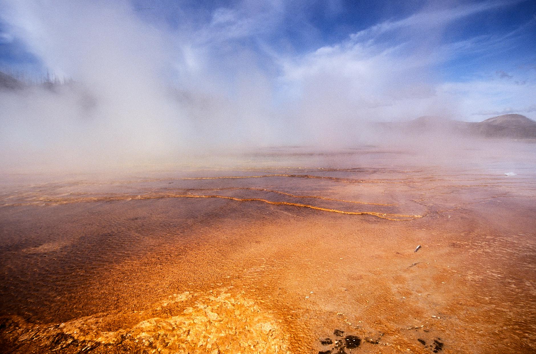 Le sorgenti termali, habitat di estremofili