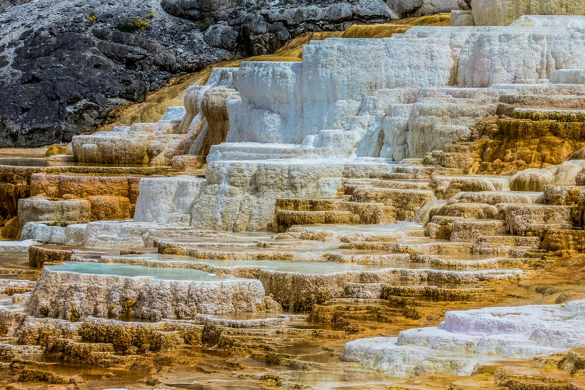 La natura estrema del nostro pianeta