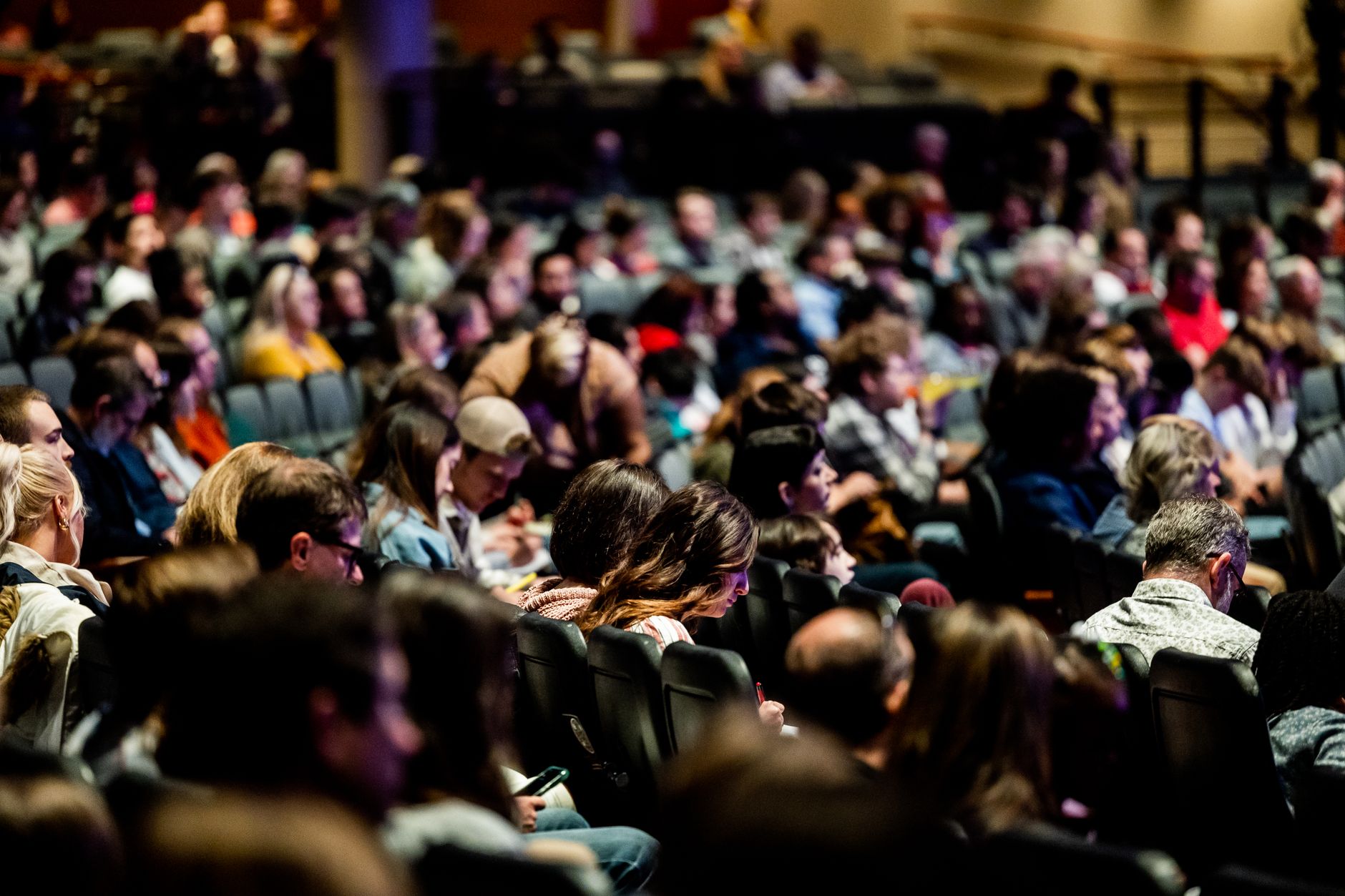 Platea di un festival culturale