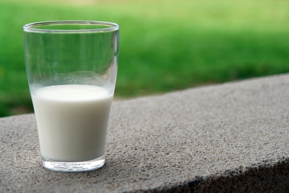 Giornata mondiale del latte: significato e perché si celebra