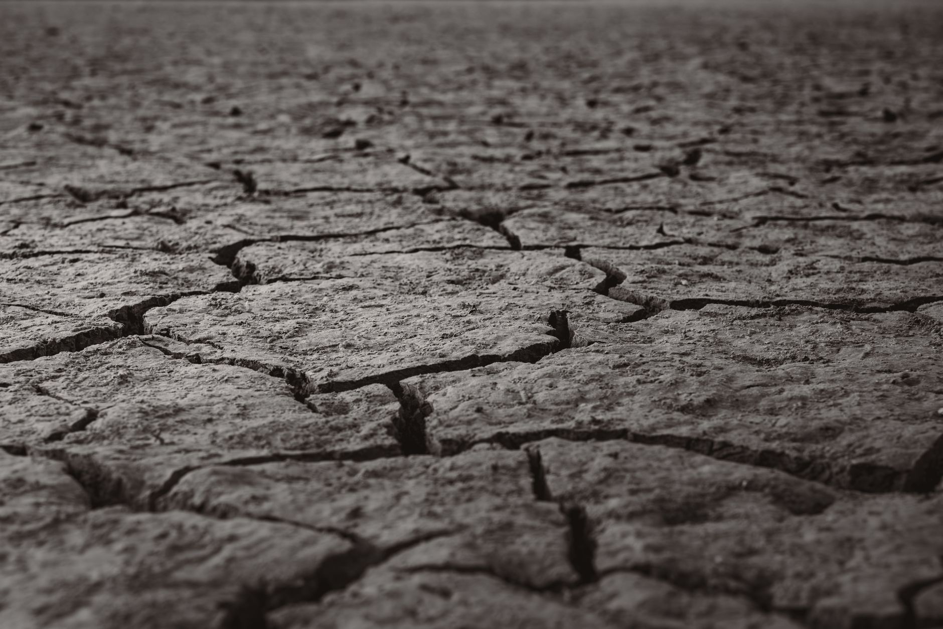 Terra arida e siccità simbolo della desertificazione 2