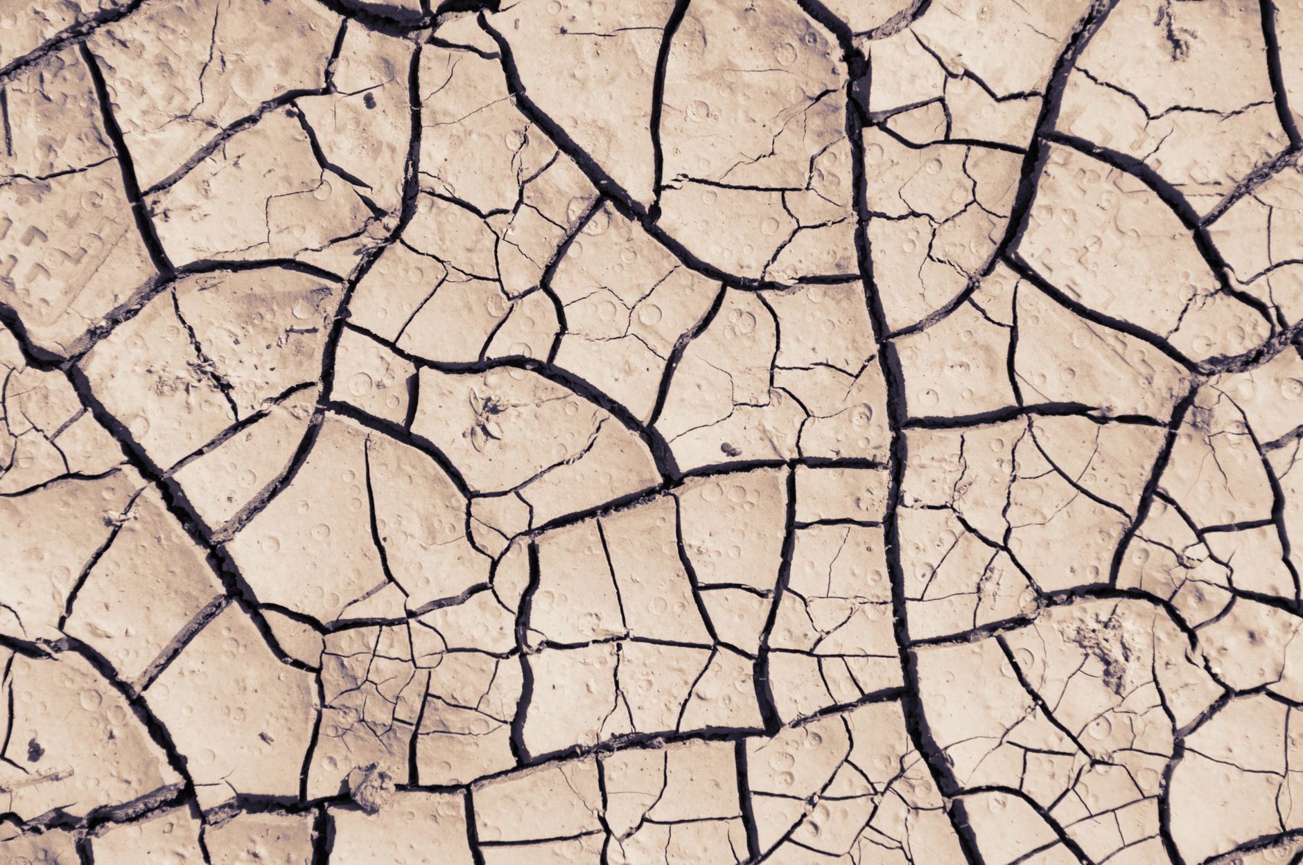 Terra arida e siccità simbolo della desertificazione 4