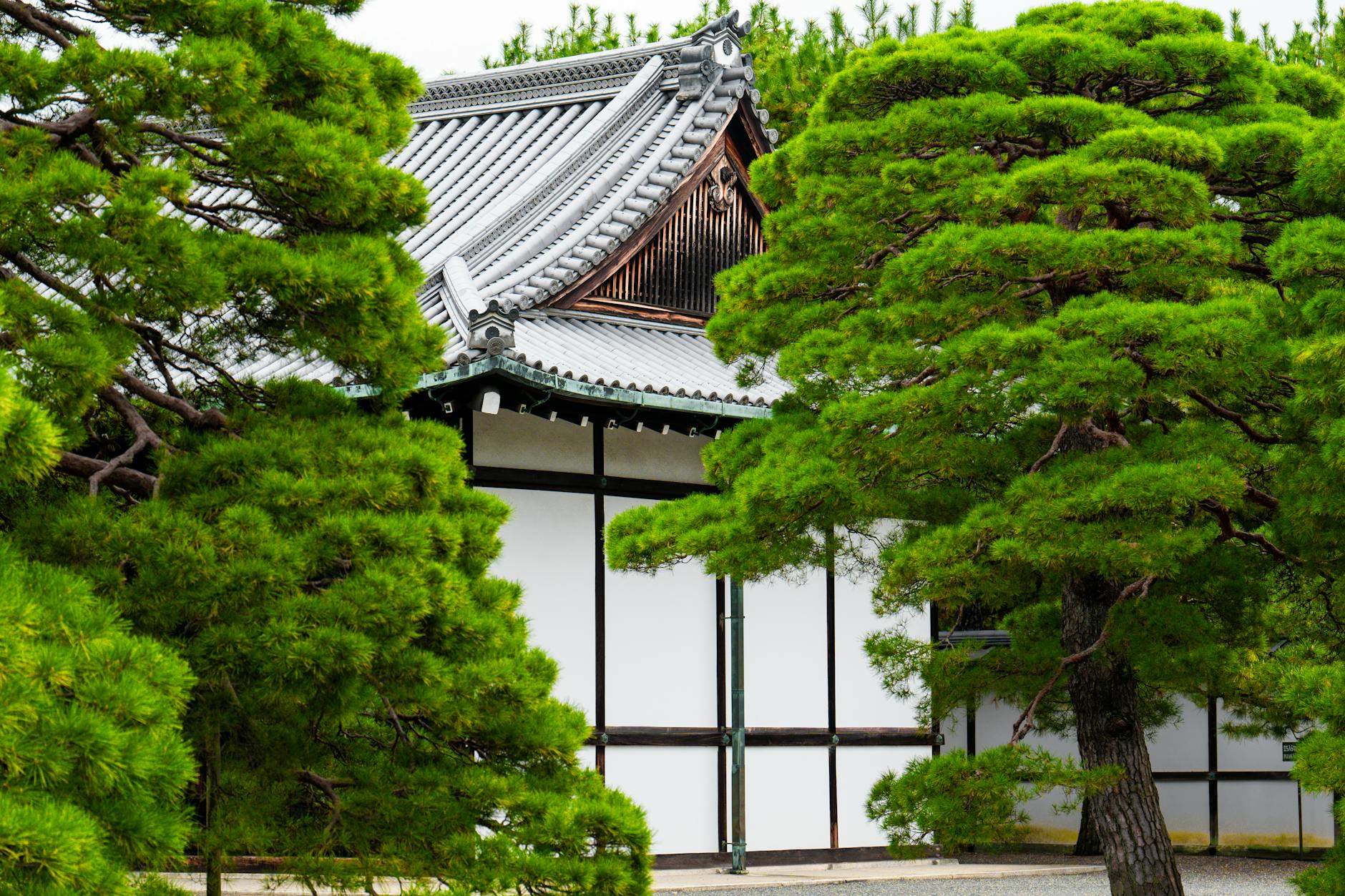 Pagoda di un tempio in Giappone