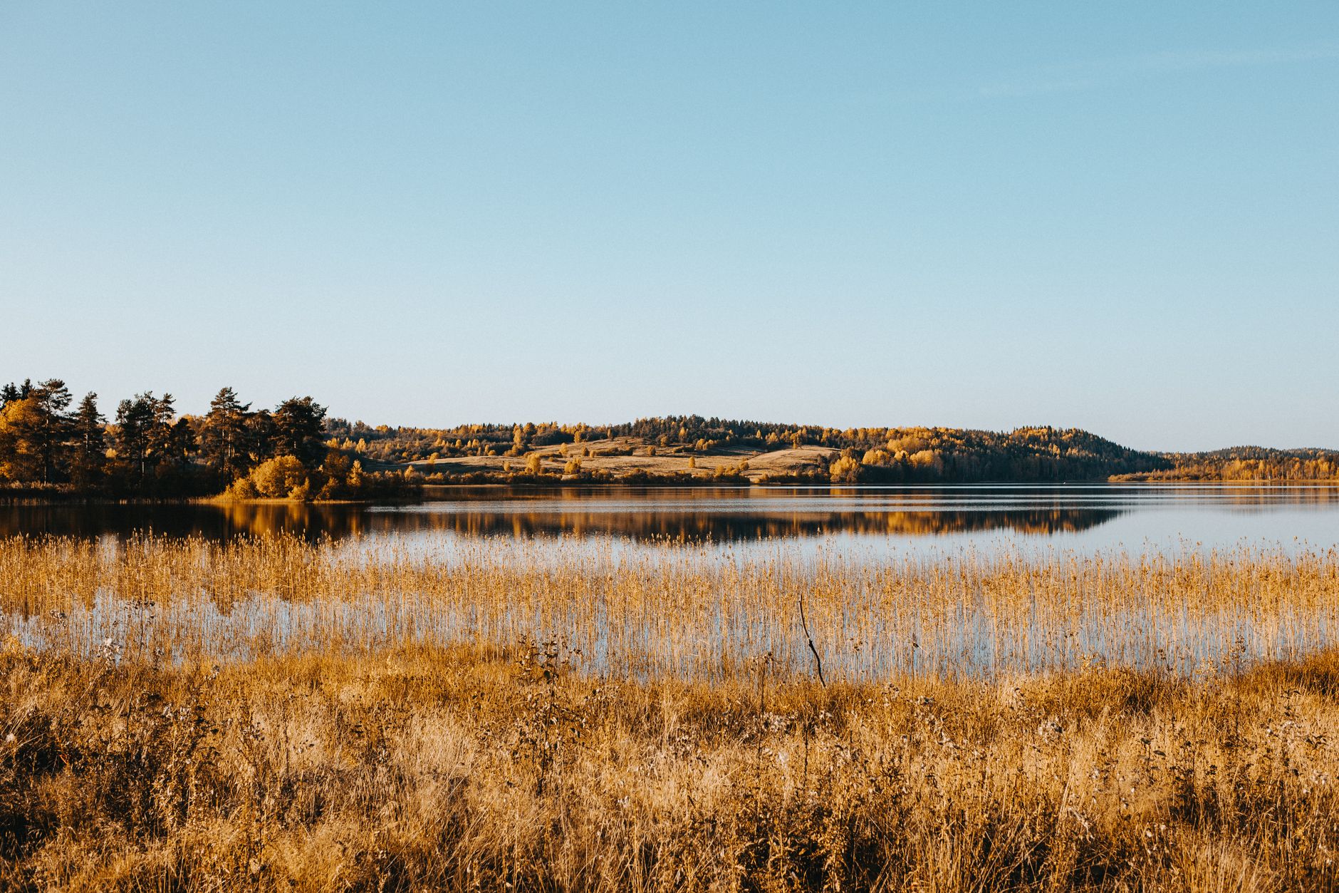 Paesaggio svedese e filosofia del lagom