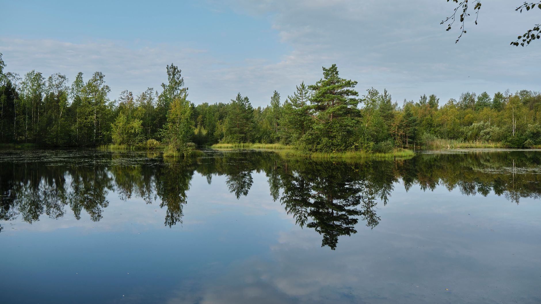 Paesaggio svedese e filosofia del lagom