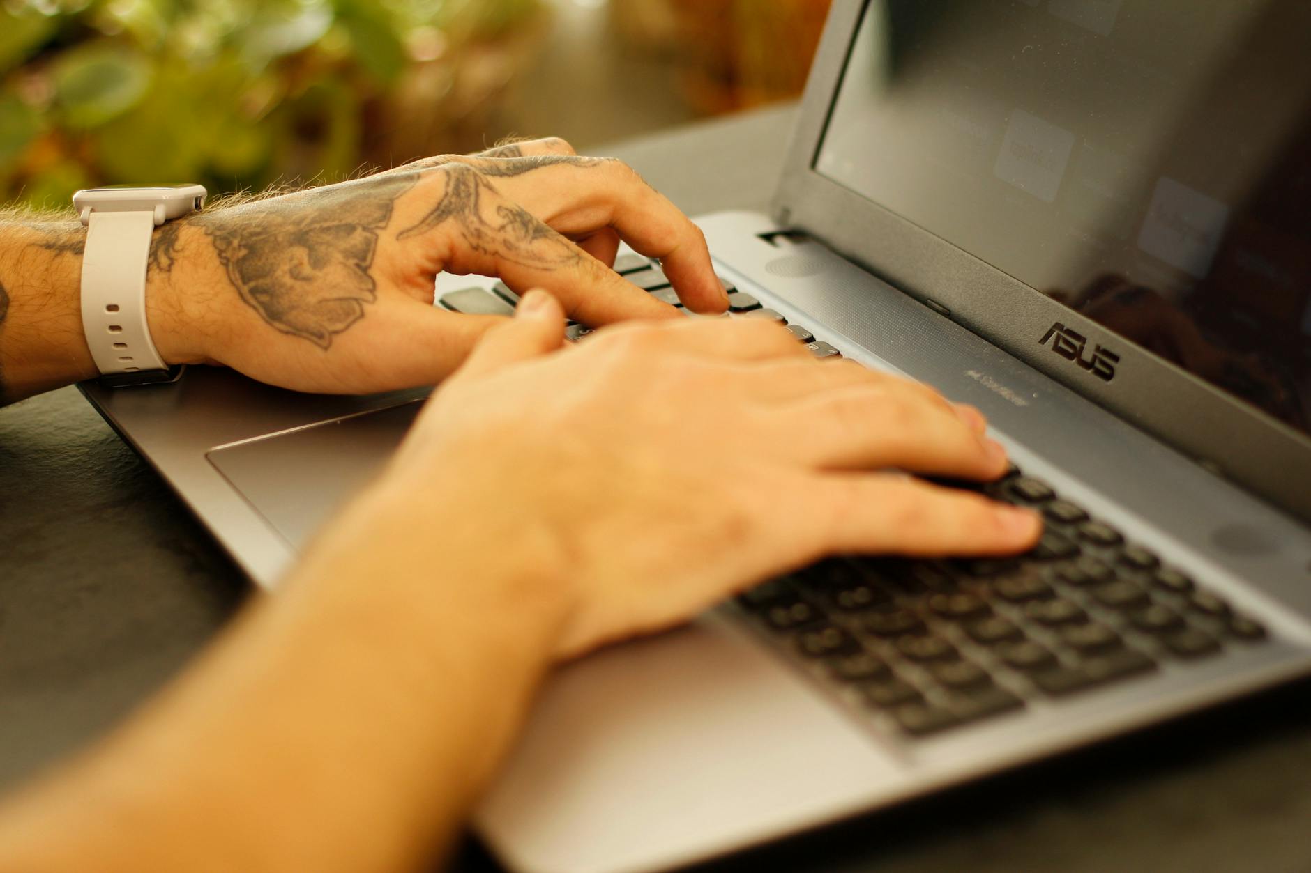 Codice e programmazione open source