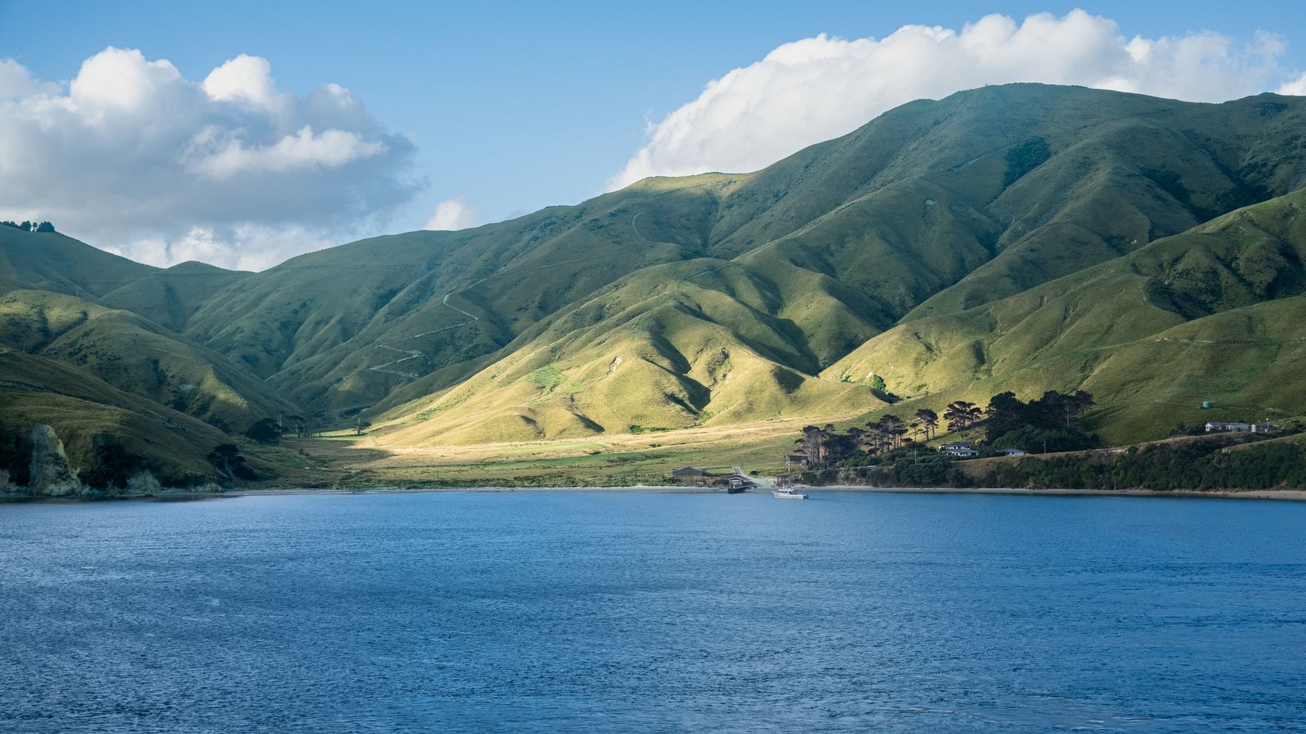 Acque costiere protette dell'Isola del Sud della Nuova Zelanda