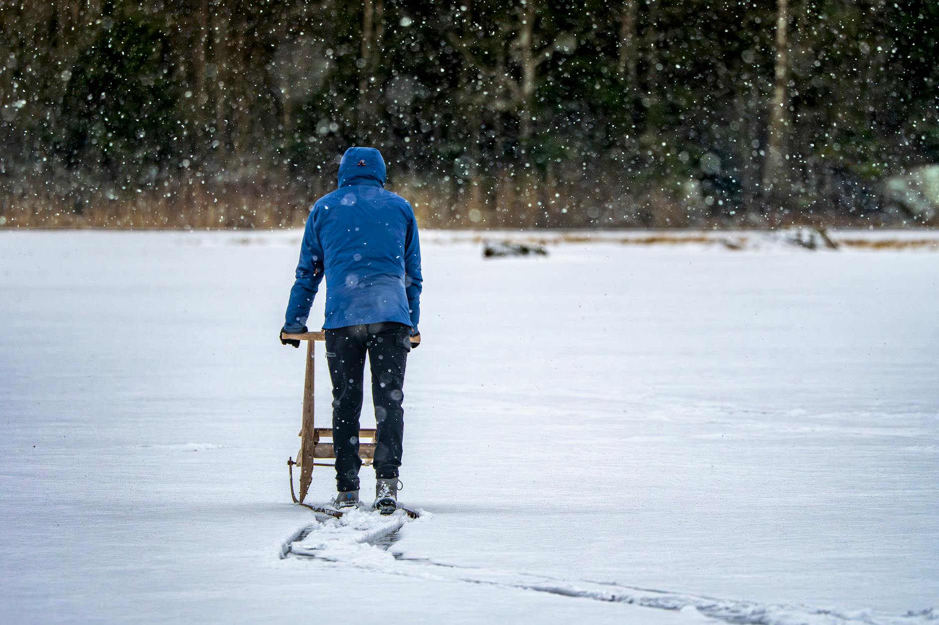 Le discipline invernali tra ghiaccio e neve dei Giochi olimpici