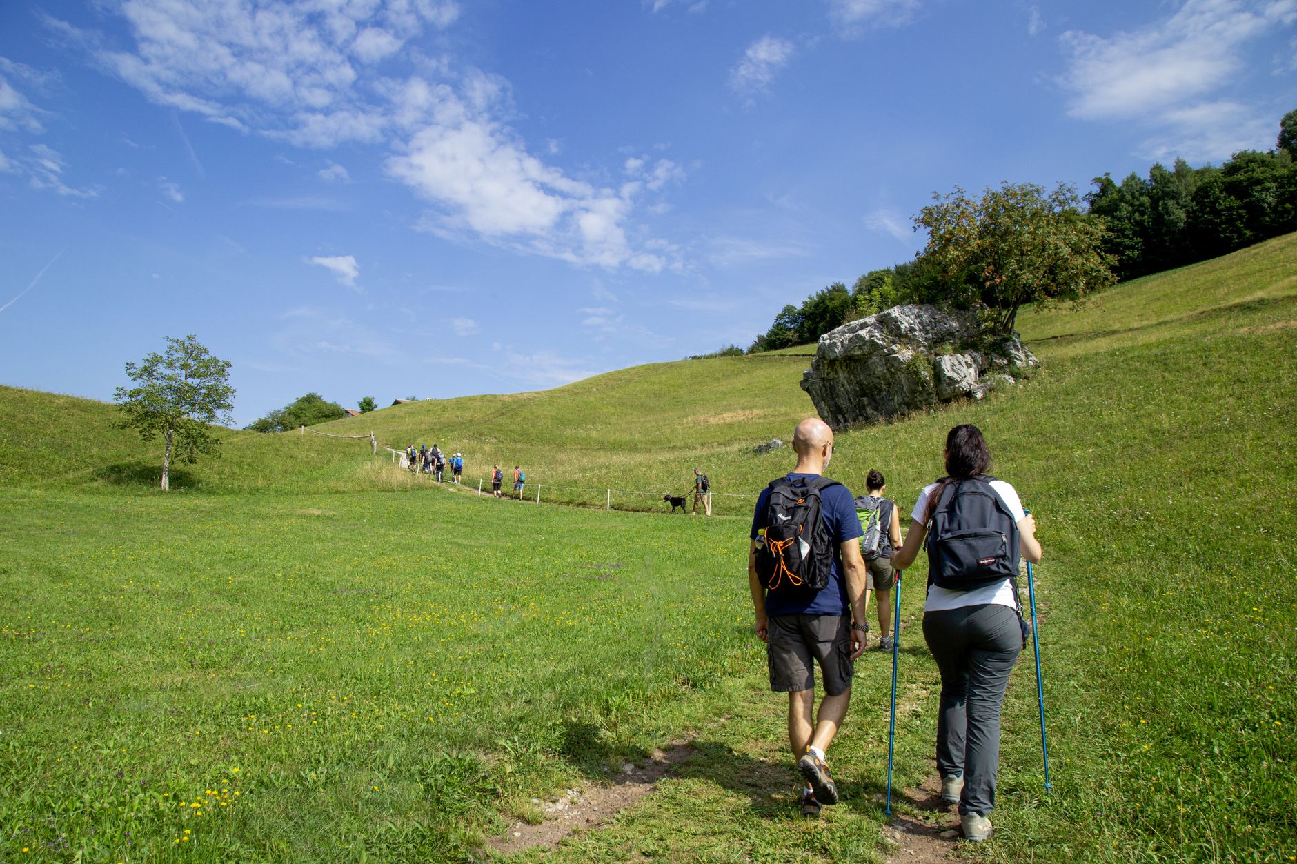 Camminare e orientamento del corpo (1)