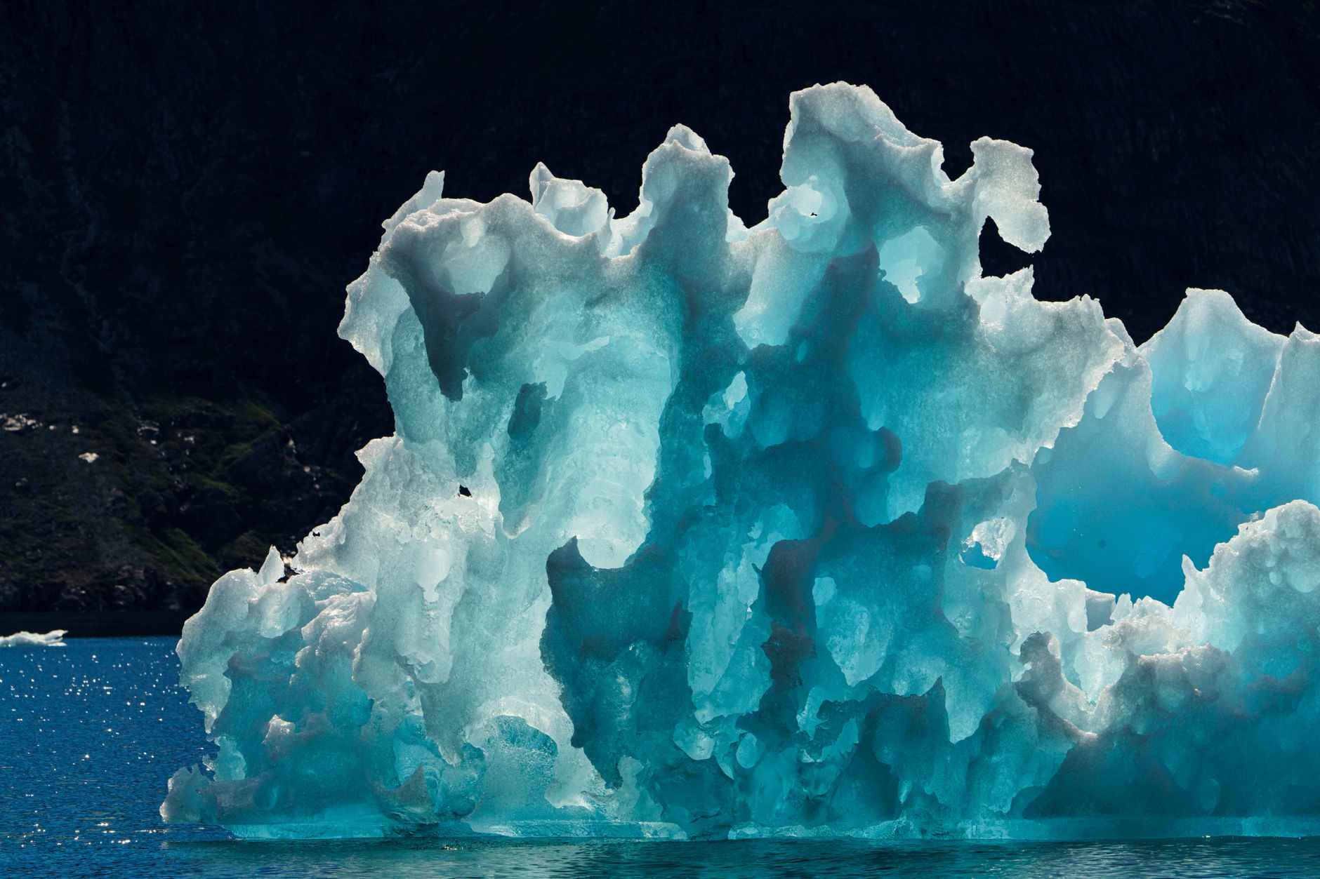 Groenlandia terra verde - Immagine gratuita di acqua, acqua fredda, ambiente