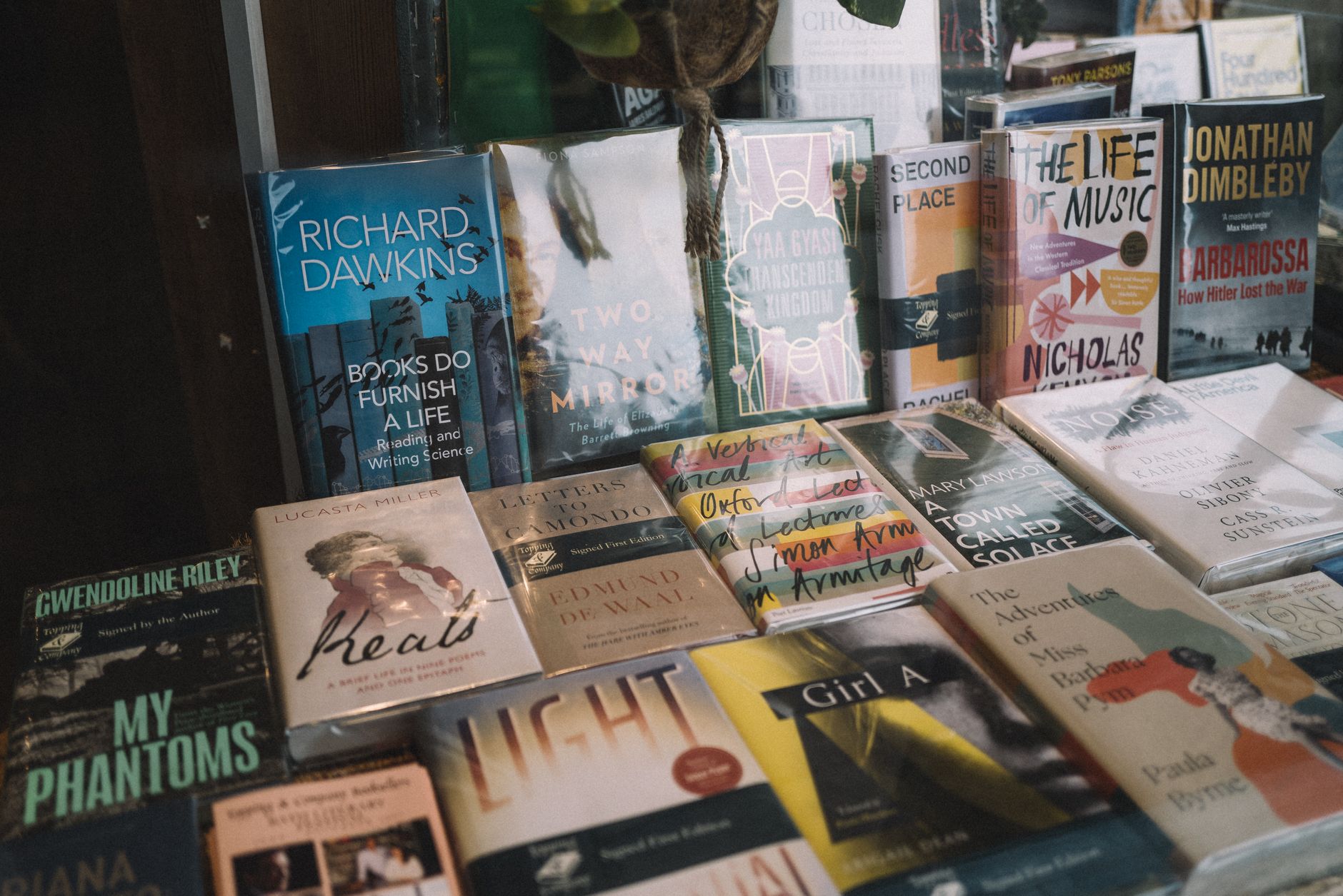 Libri esposti in una libreria